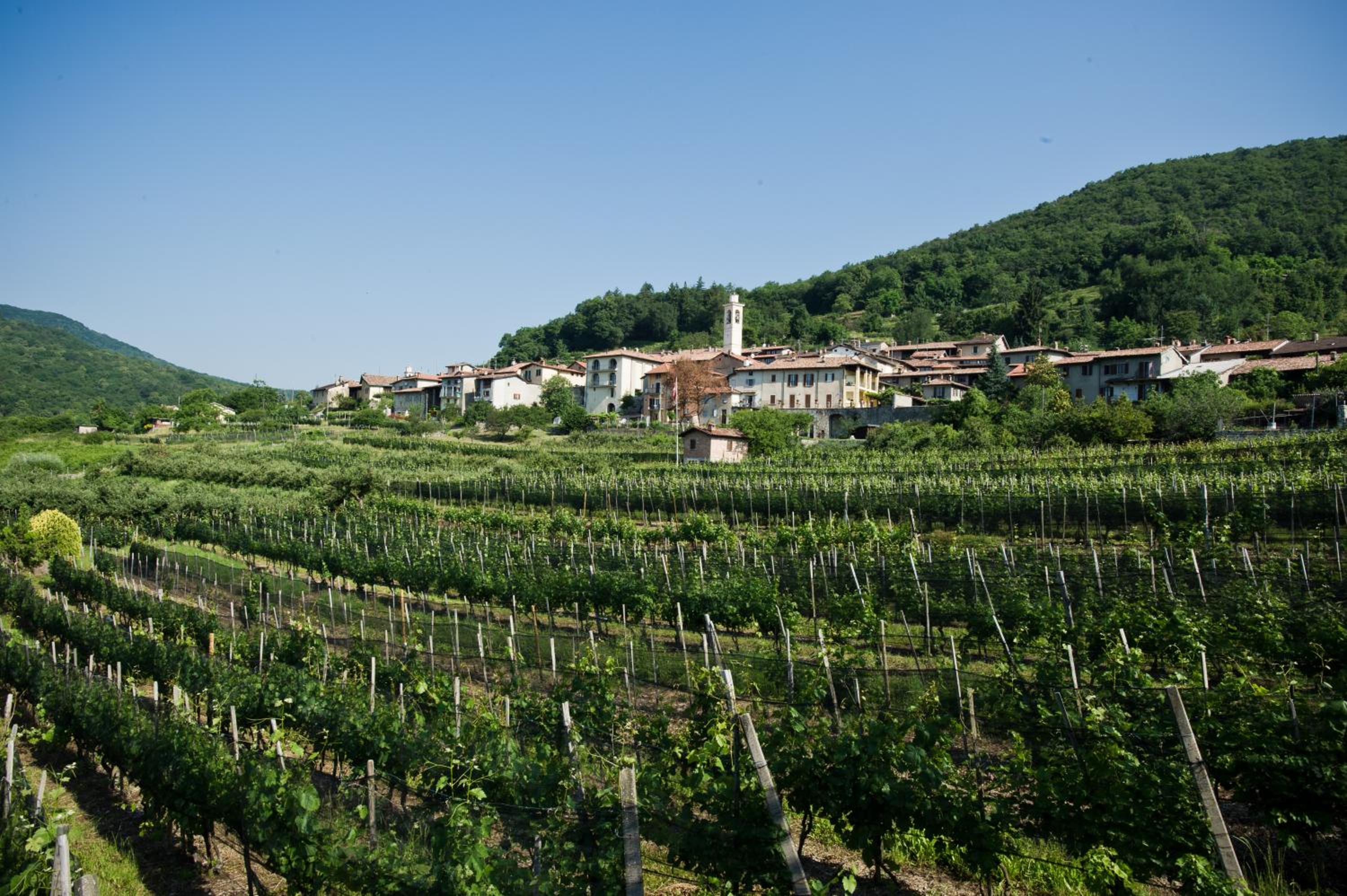 Charming B&B and Osteria La Crisalide
