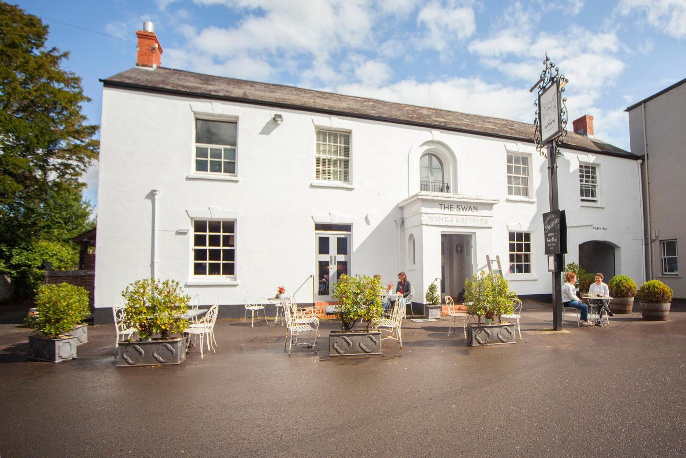 The Swan