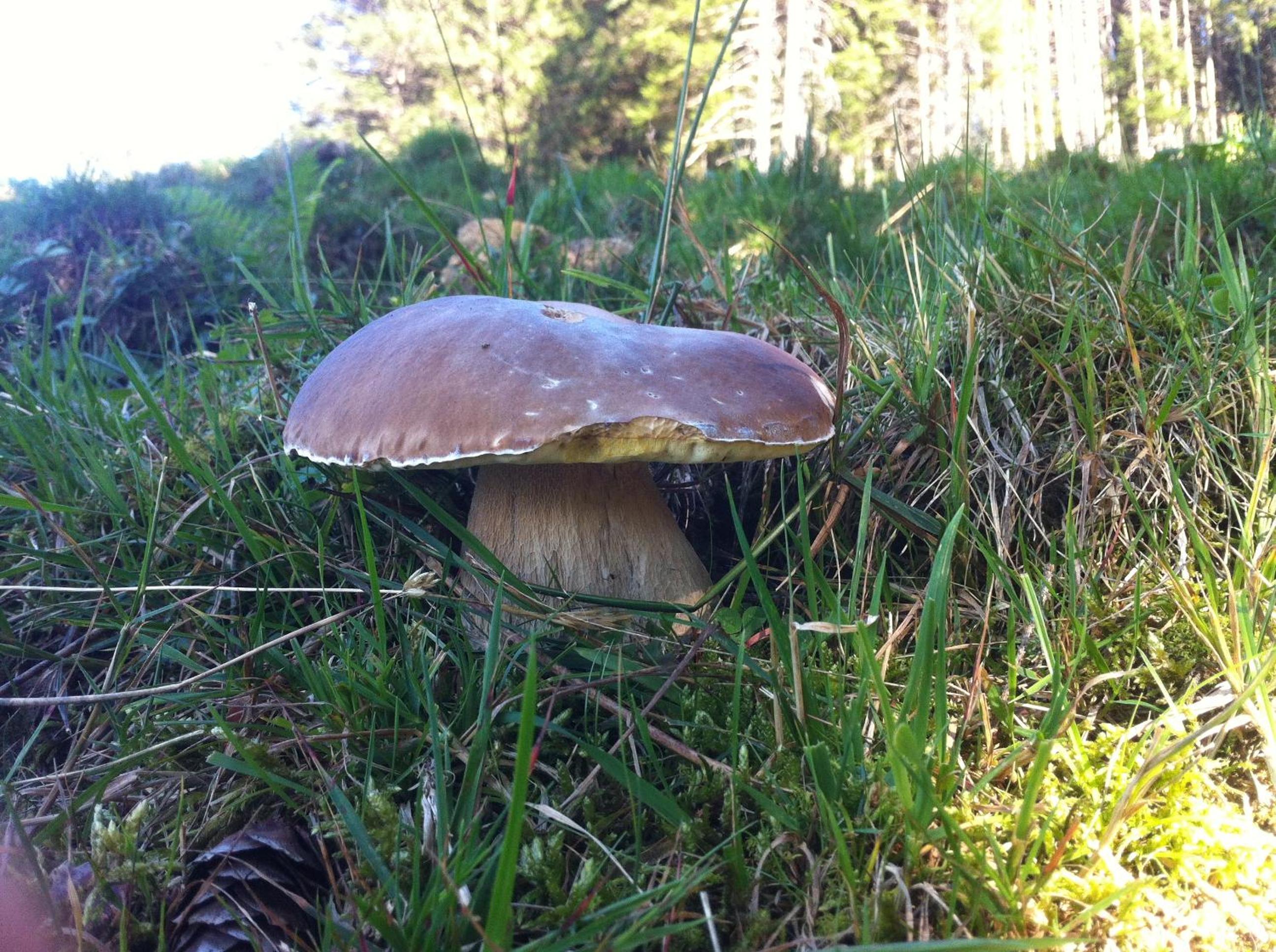 Photo 37