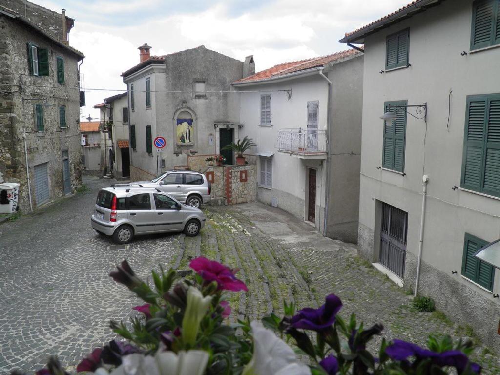Ad Palatium view 4