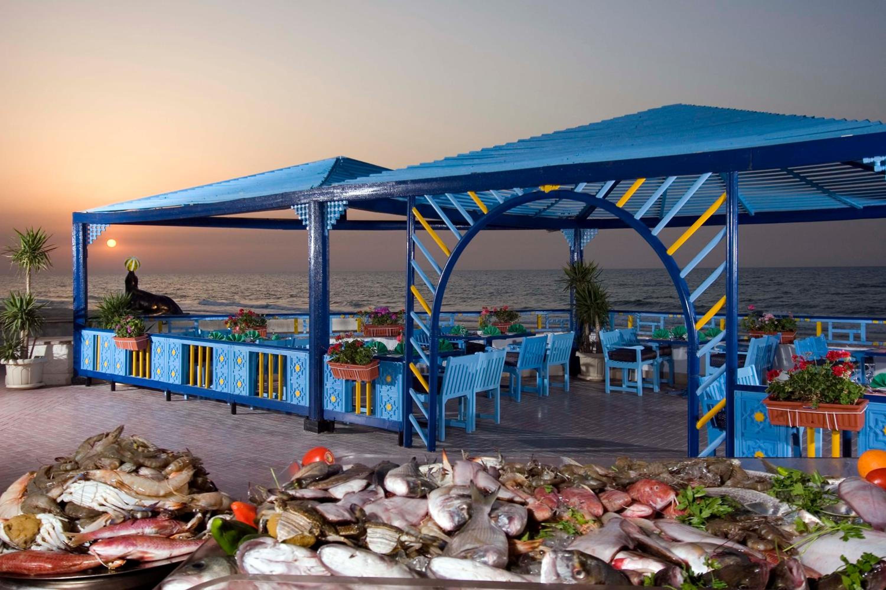 Retac El Arish