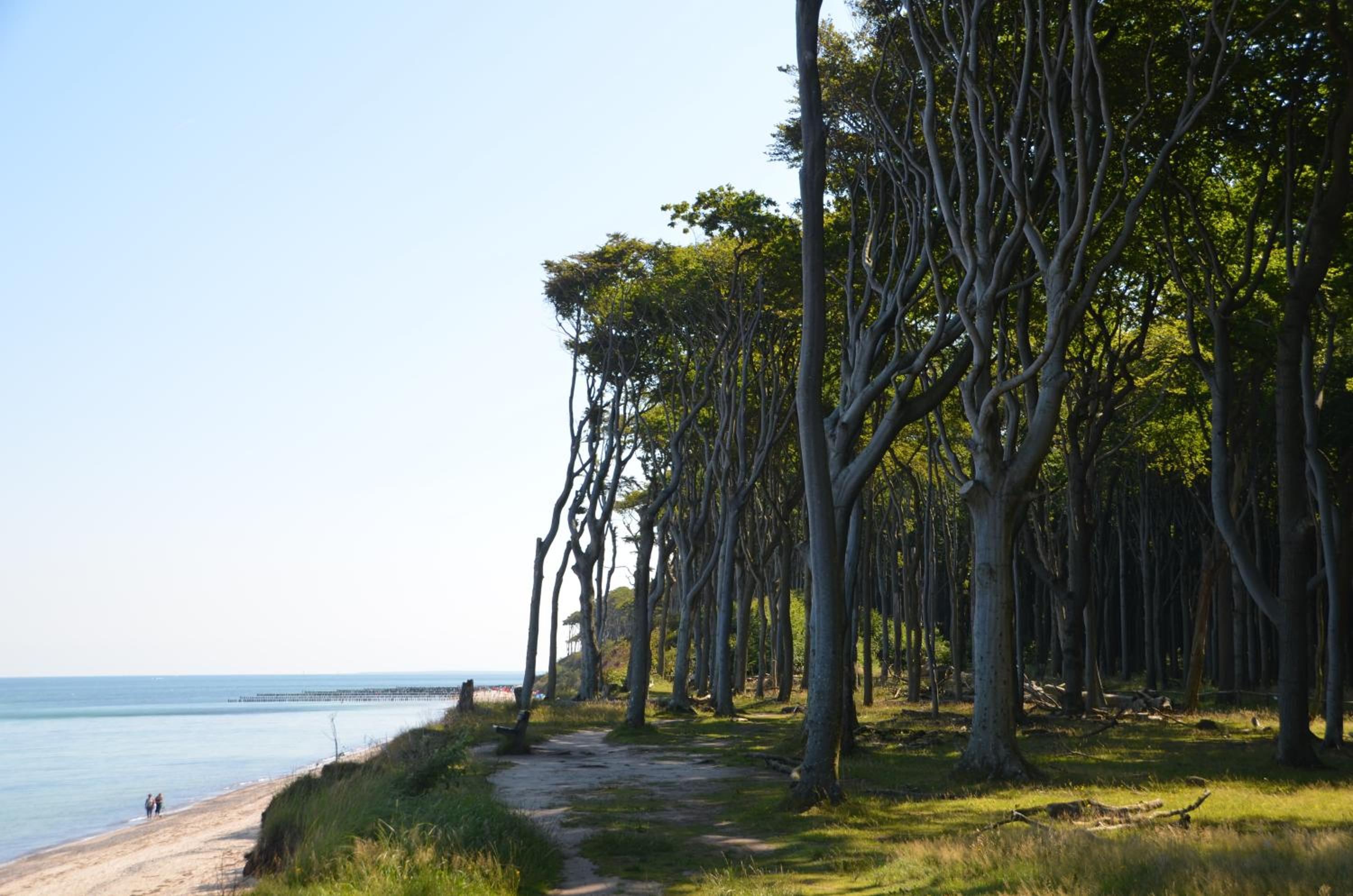 Ostseeblick, fotografía 4