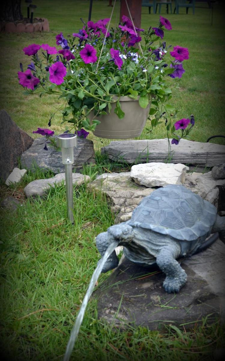 garden