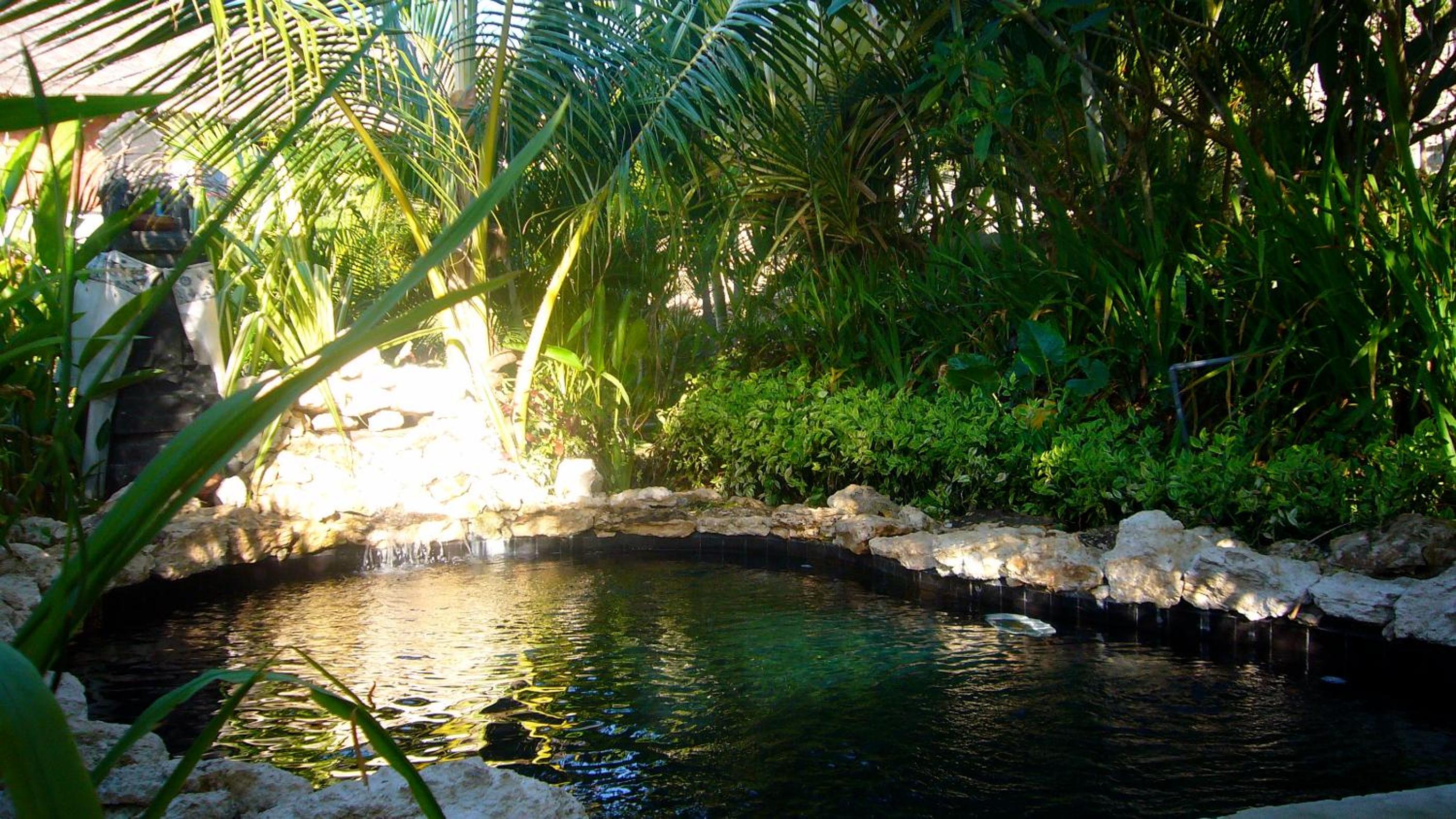 Photo 21