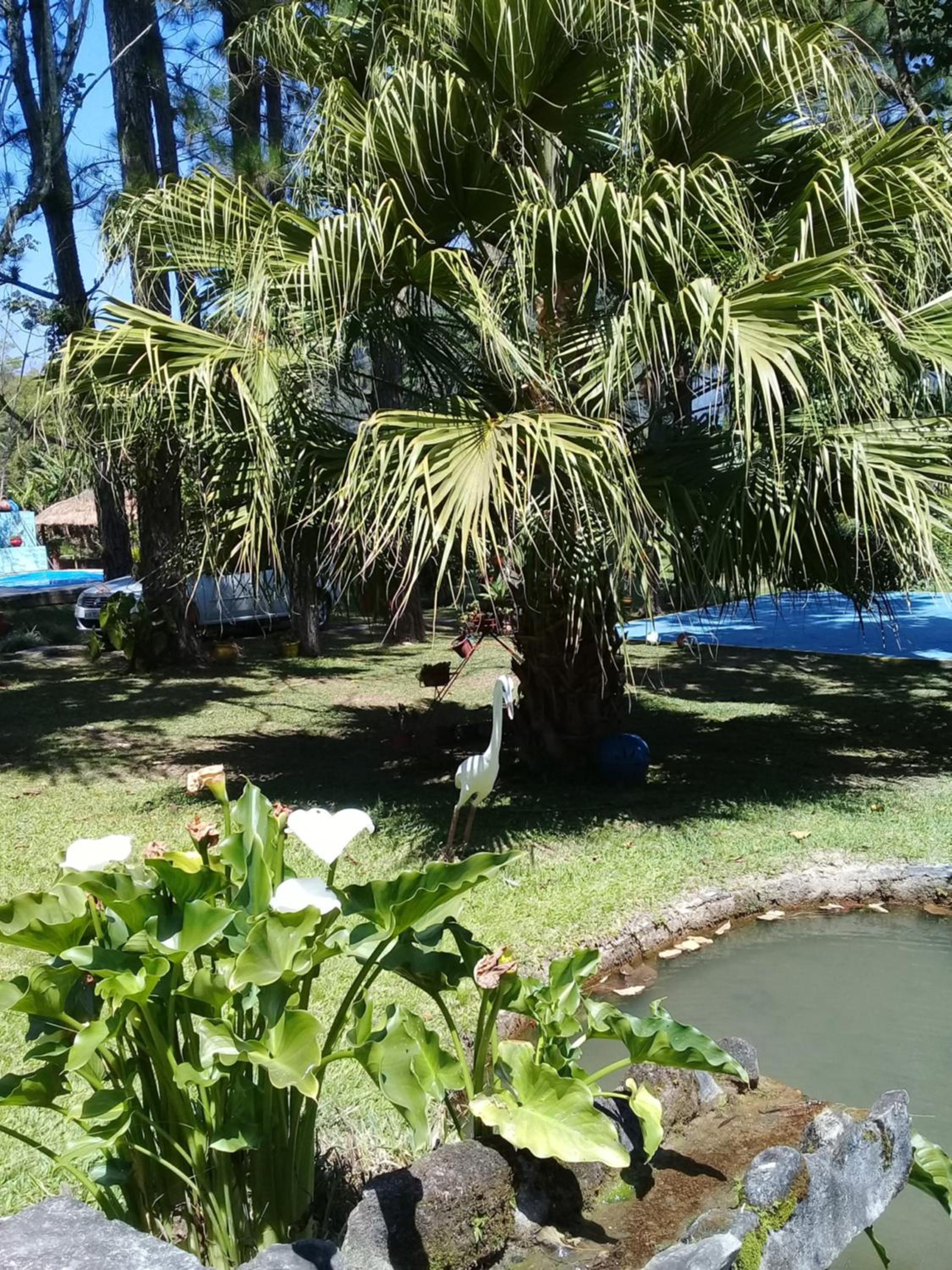 Sítio Canoas