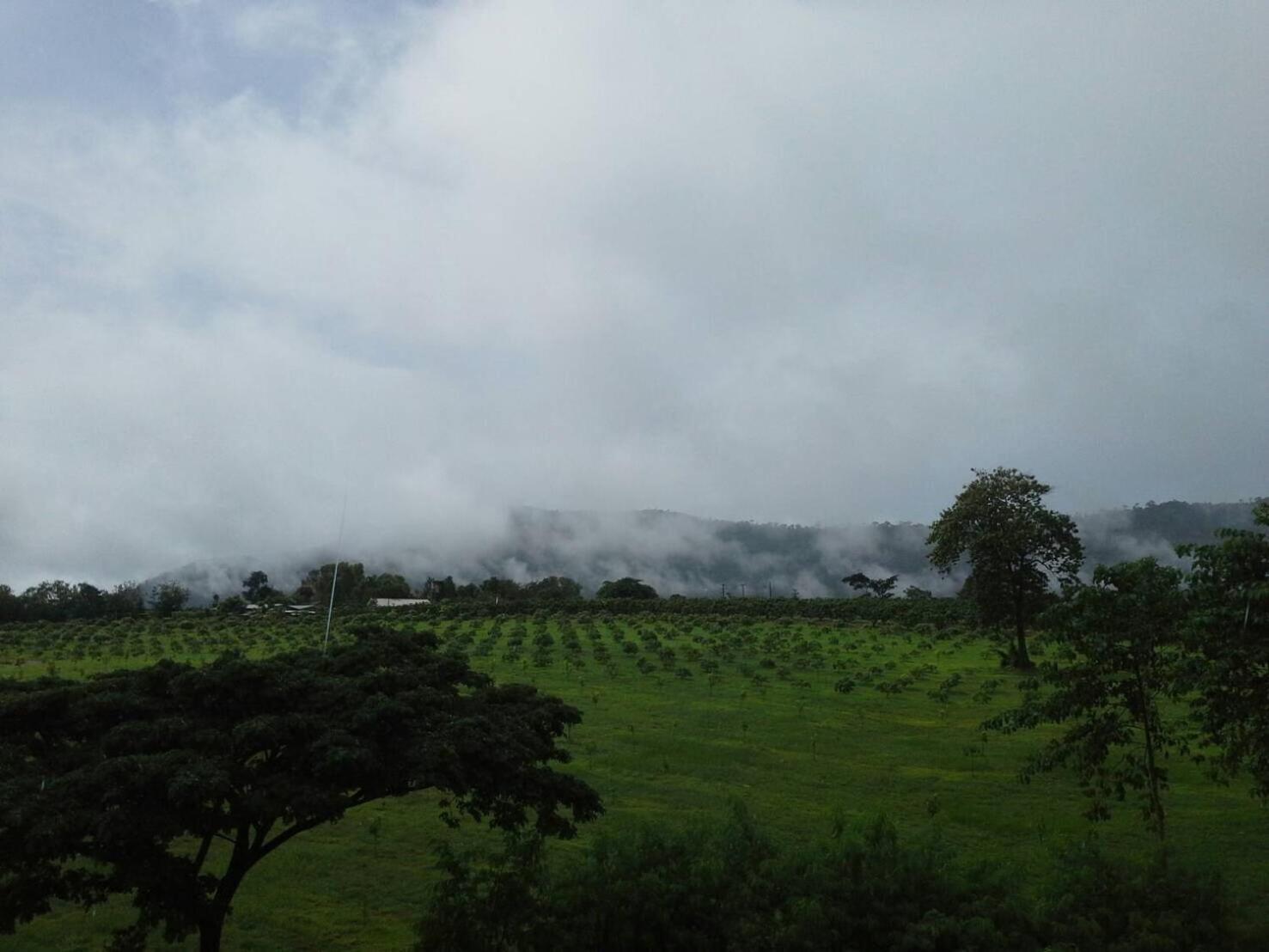Antani Home @Khaoyai