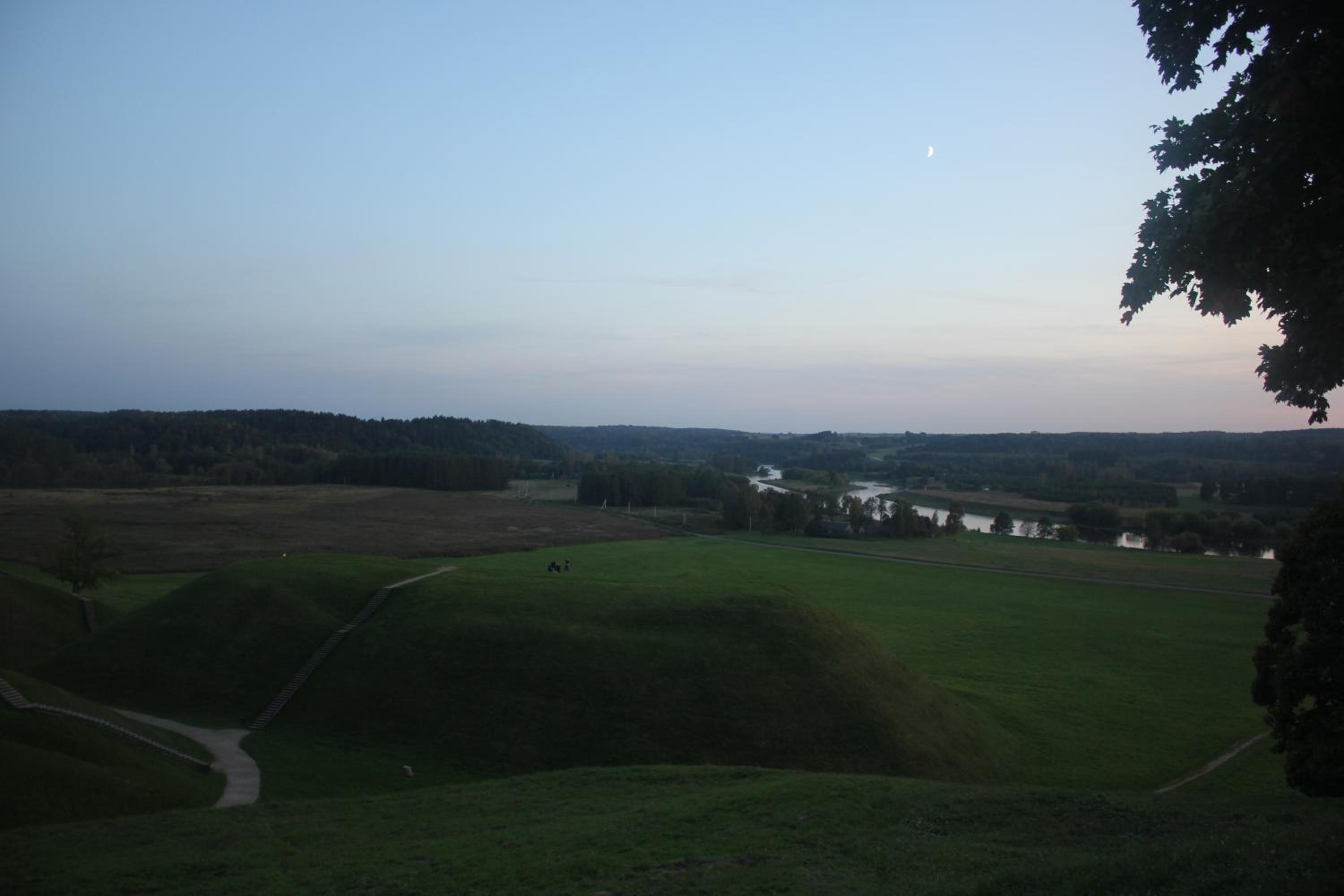 Photo 44