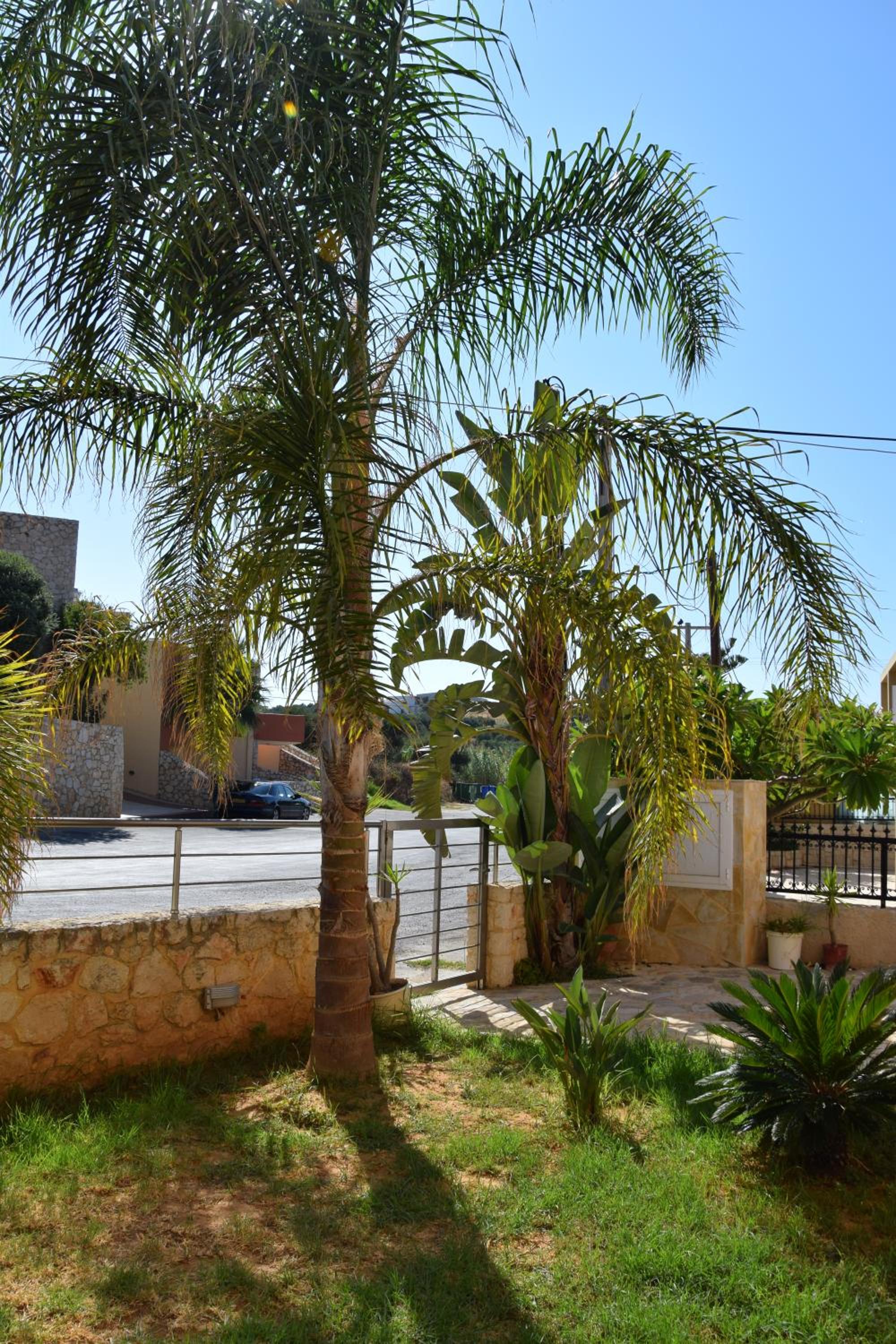 Rubini Homes