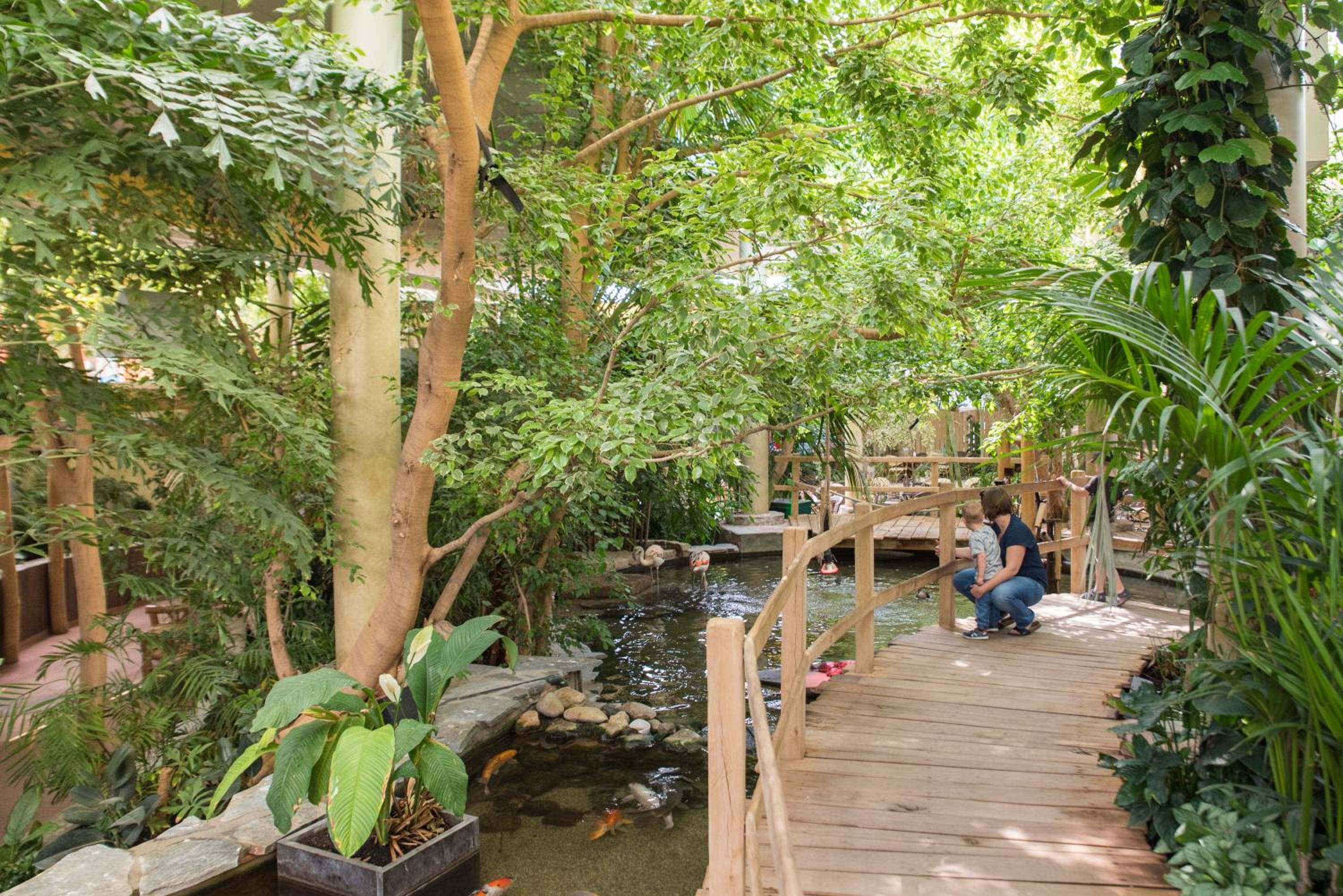 Center Parcs Port Zélande Beach