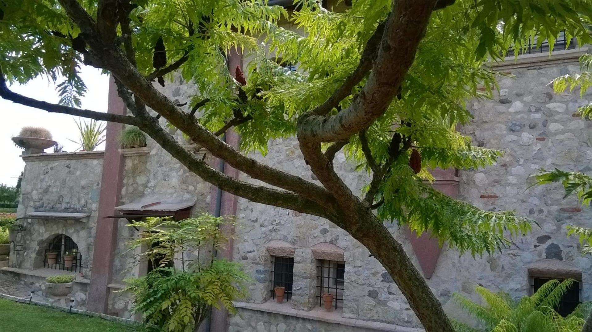 Bed and Breakfast Posserle view 4