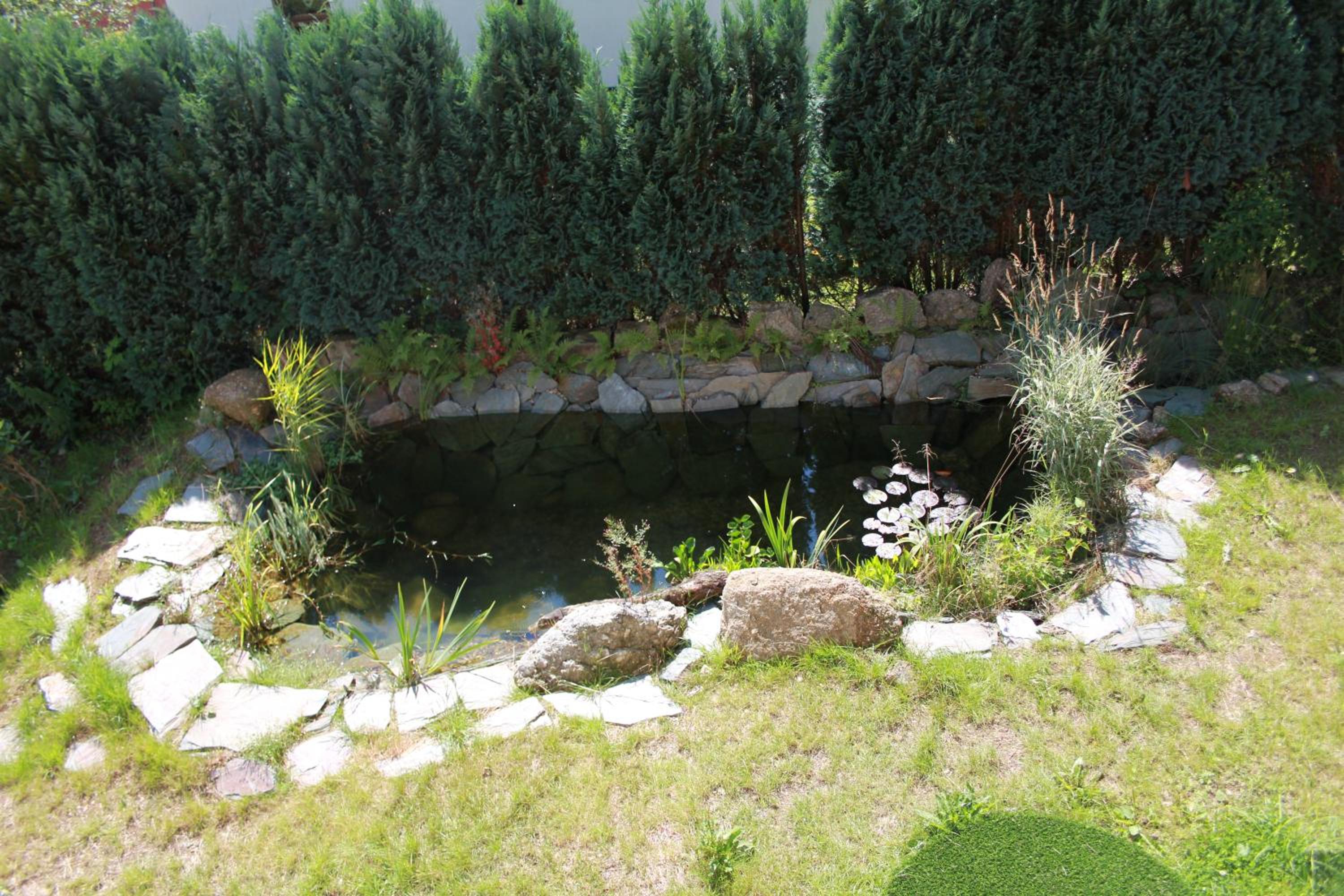 Photo 48