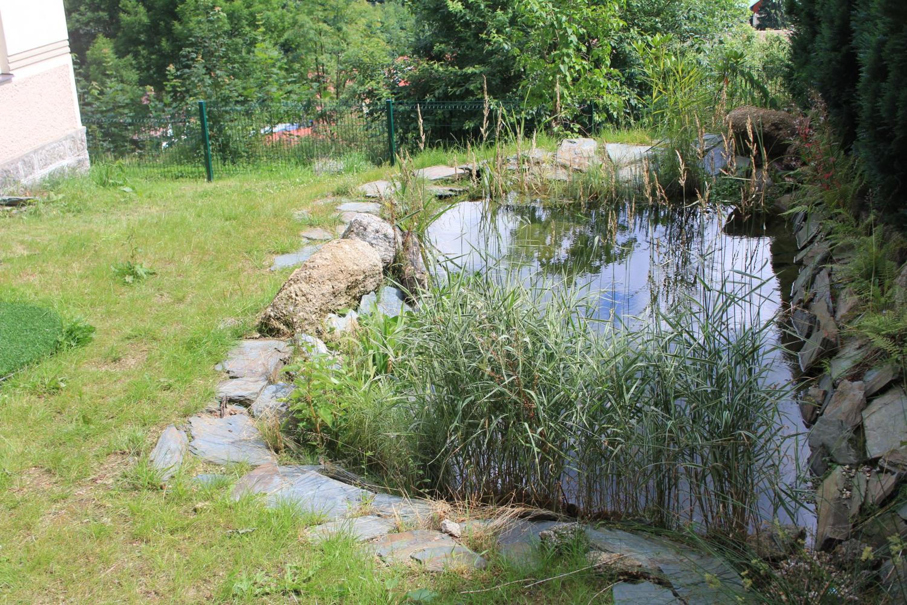 Photo 49