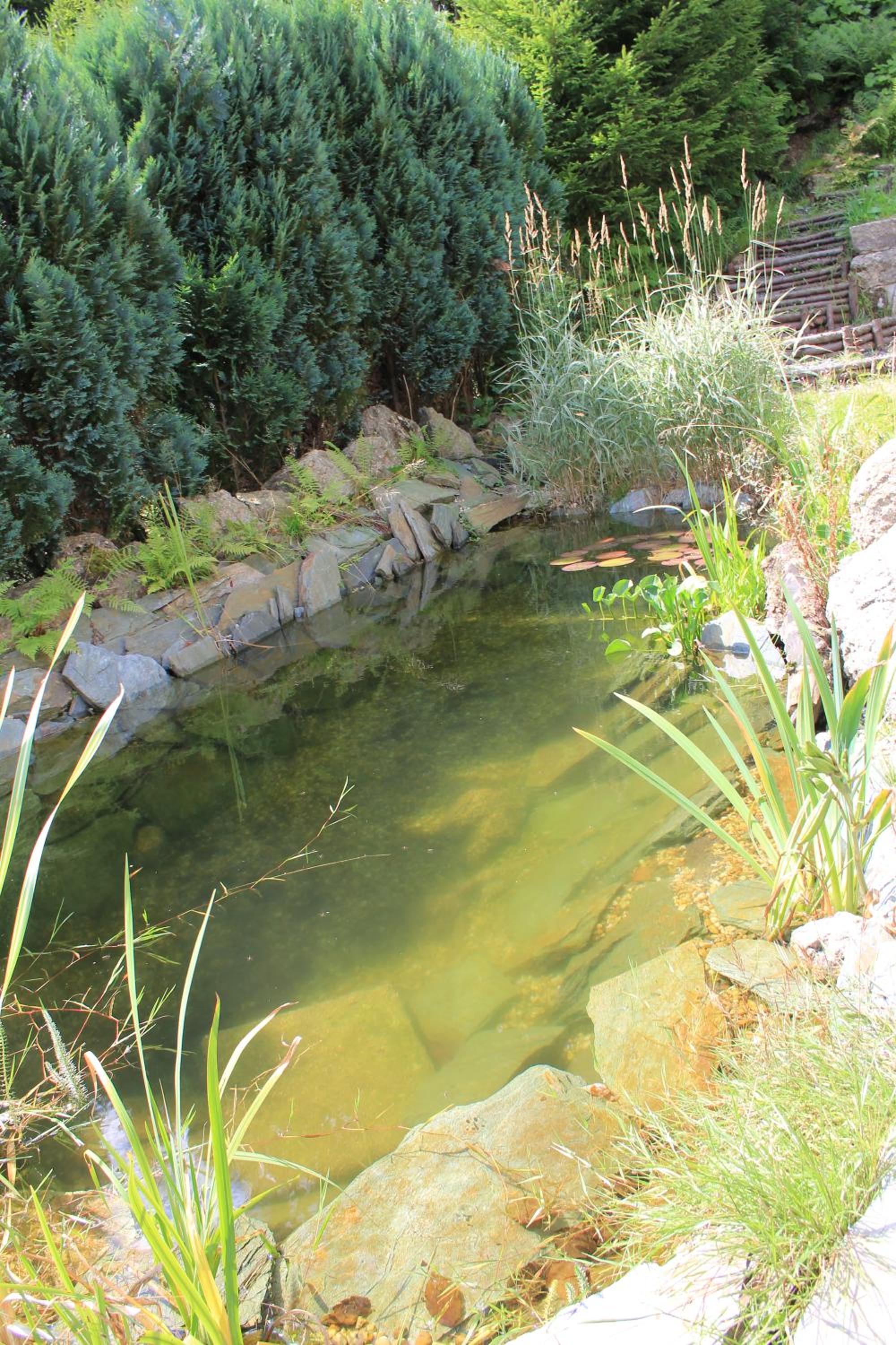 Photo 47
