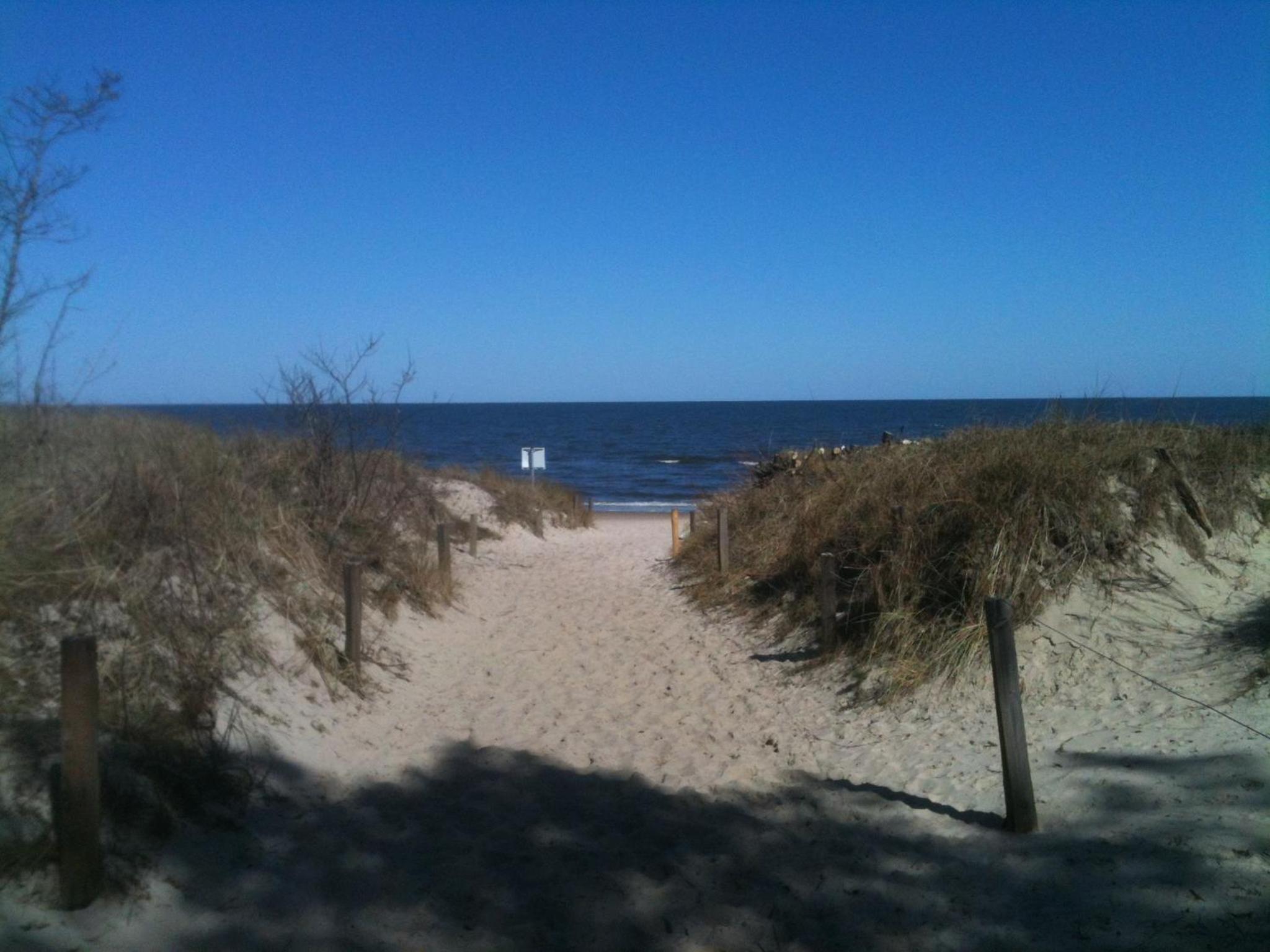 Photo 35
