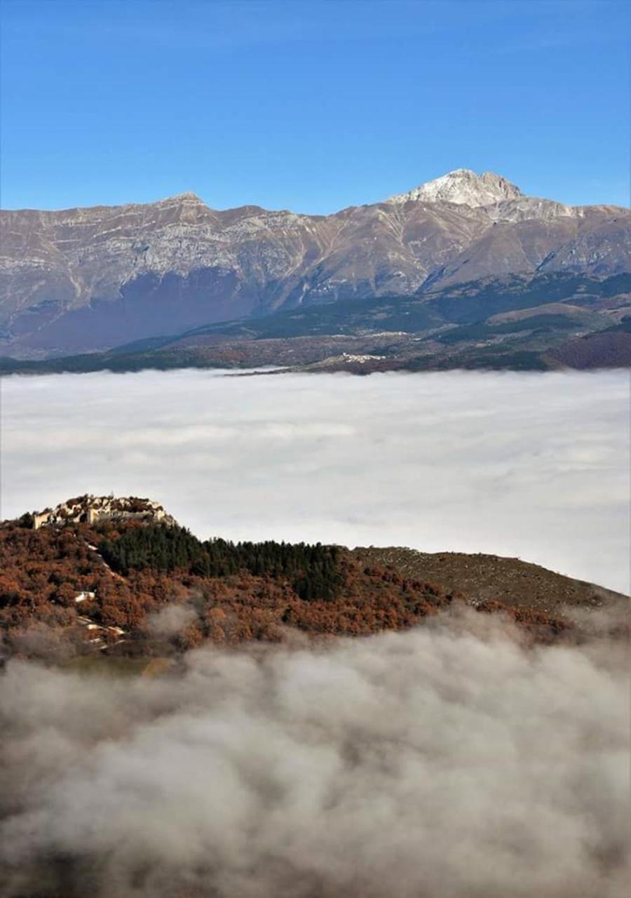 Photo 37