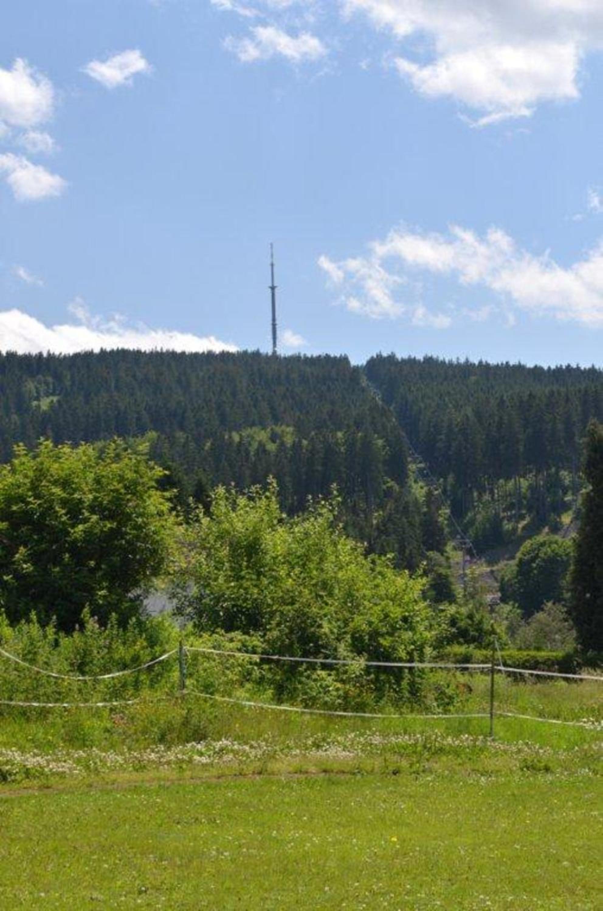 Ferienwohnung Hopfennest view 3