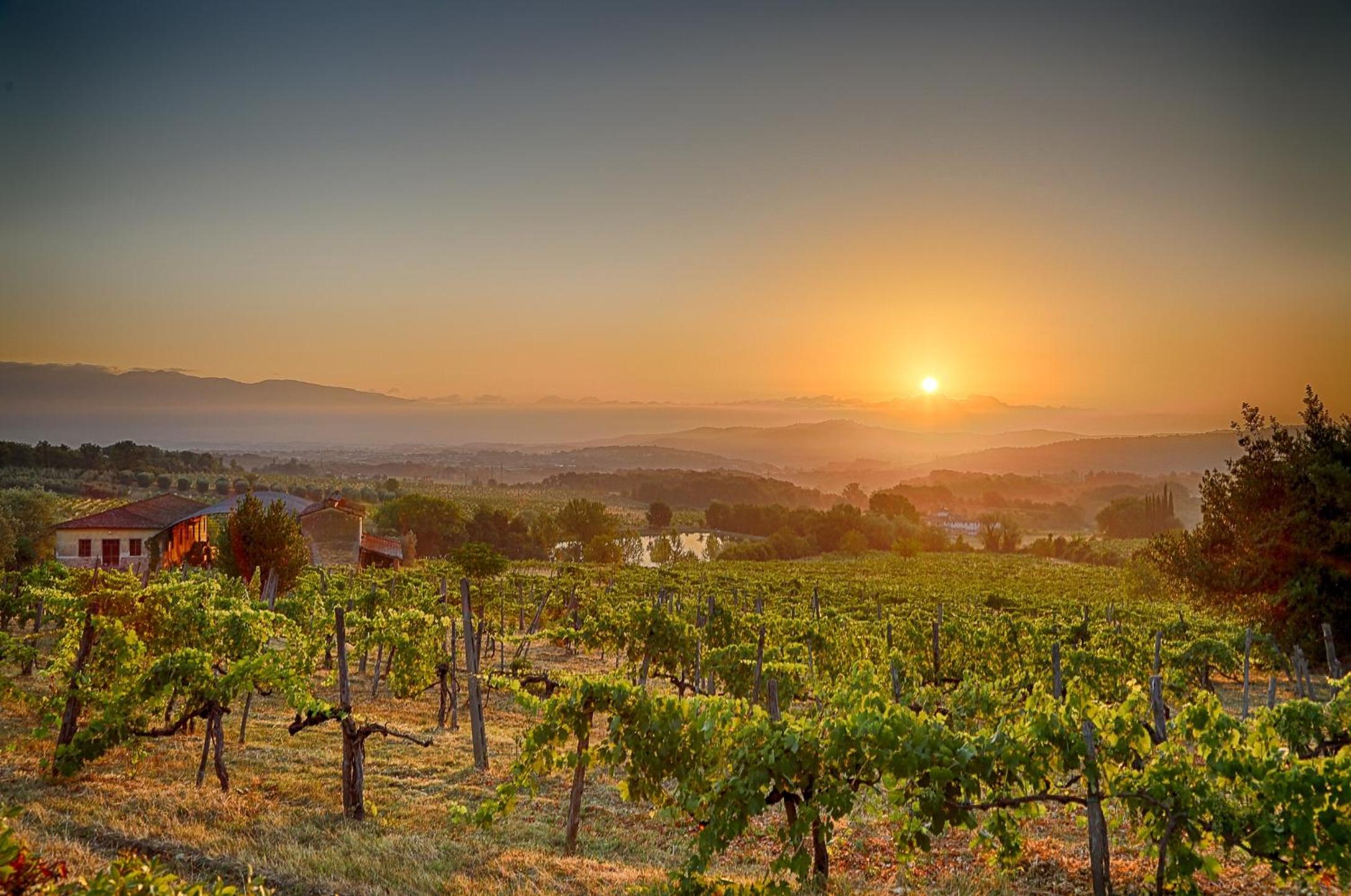 Tenuta Lupinari