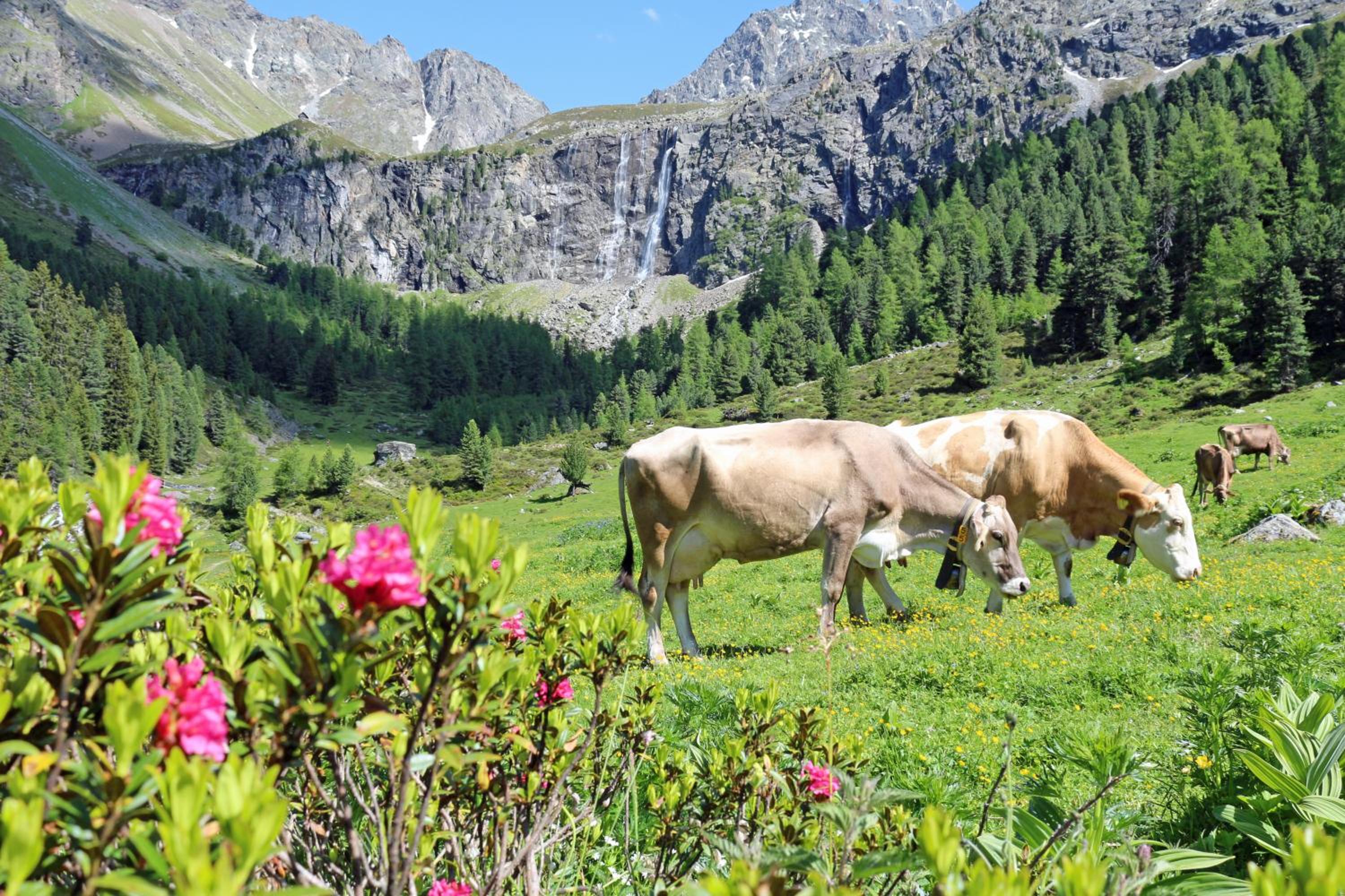 Chalet Tschallener
