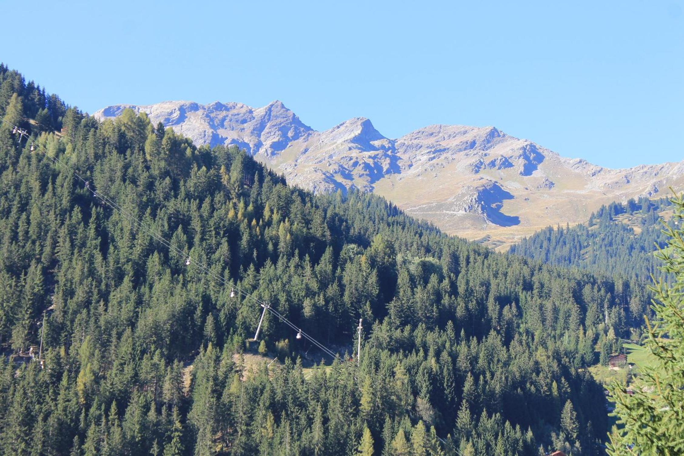 Photo 40