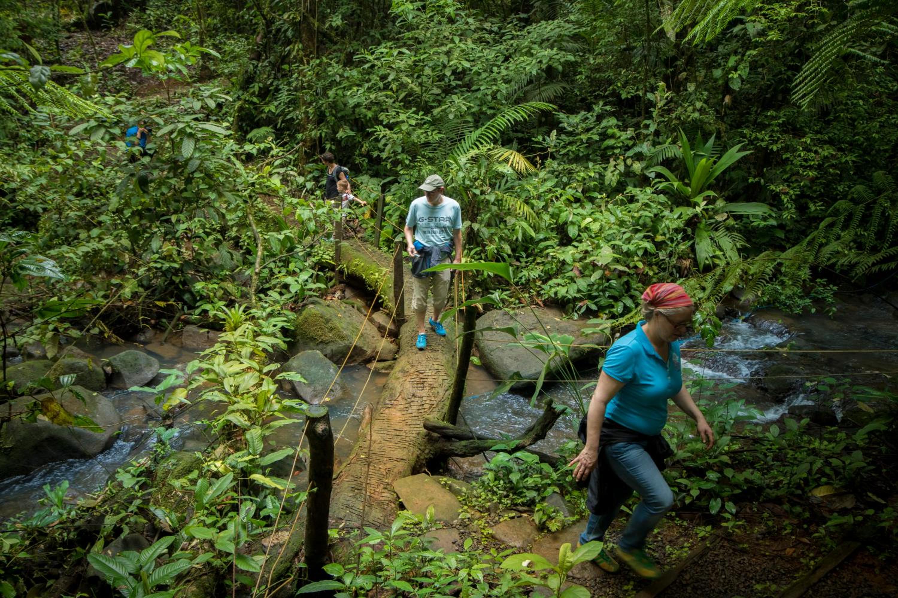 La Tigra Rainforest Lodge