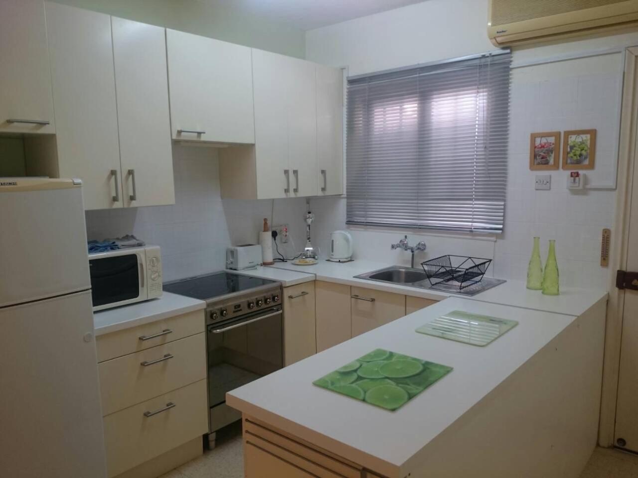 Theodoros Apt. 408 view 4