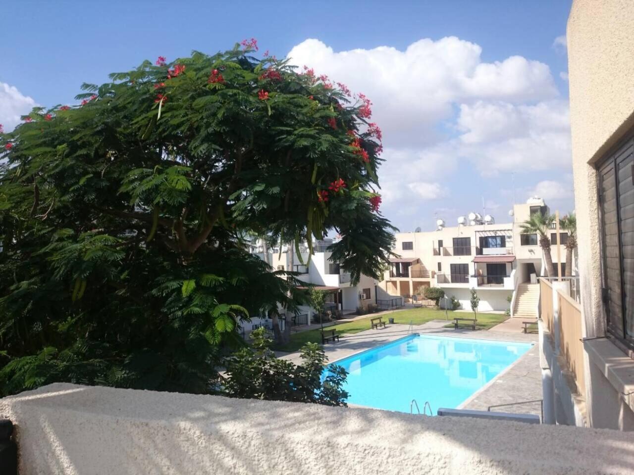 Theodoros Apt. 408 view 2