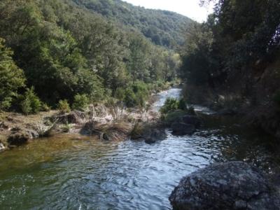 Photo 32