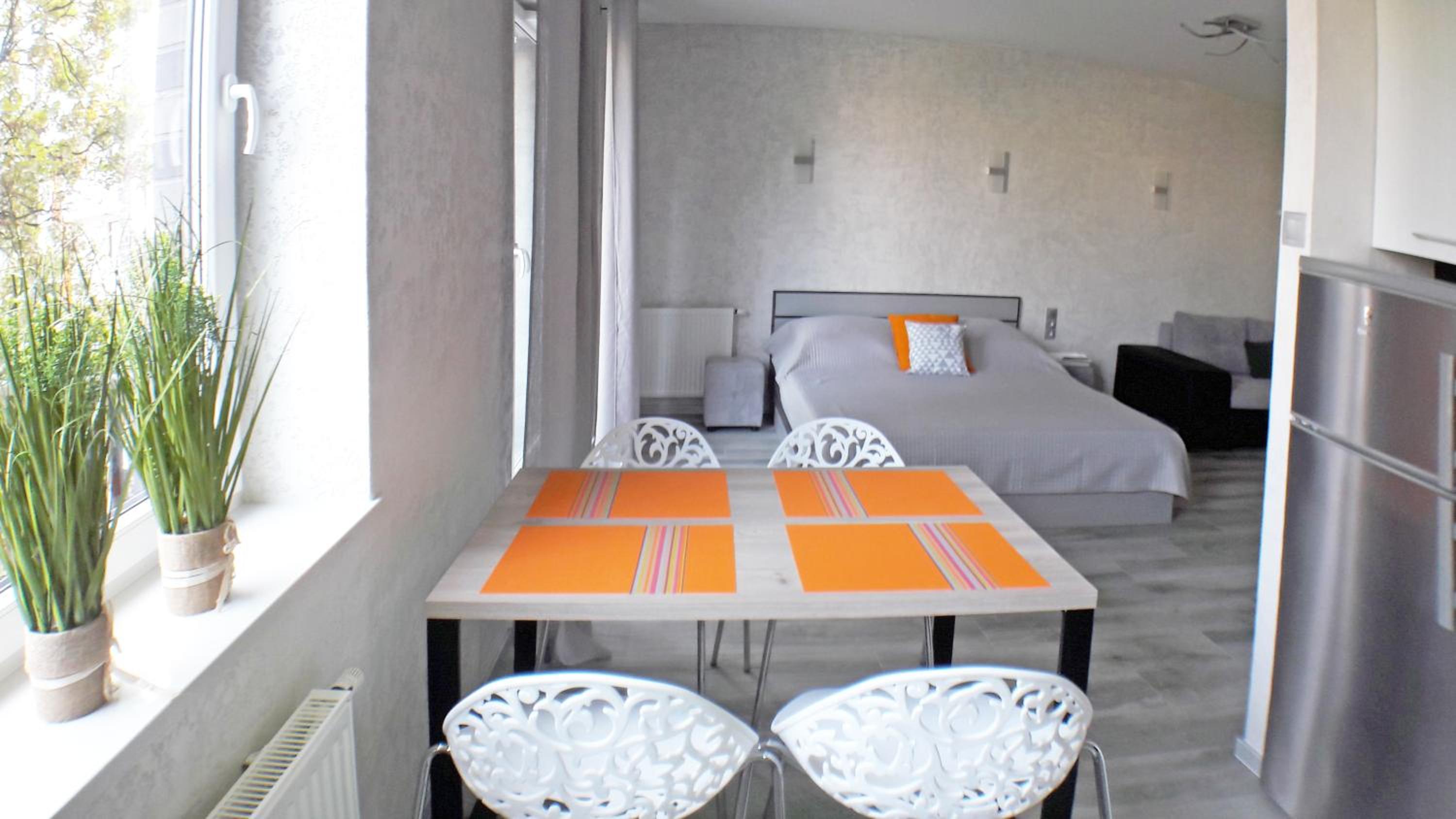 Art Apartments view 5