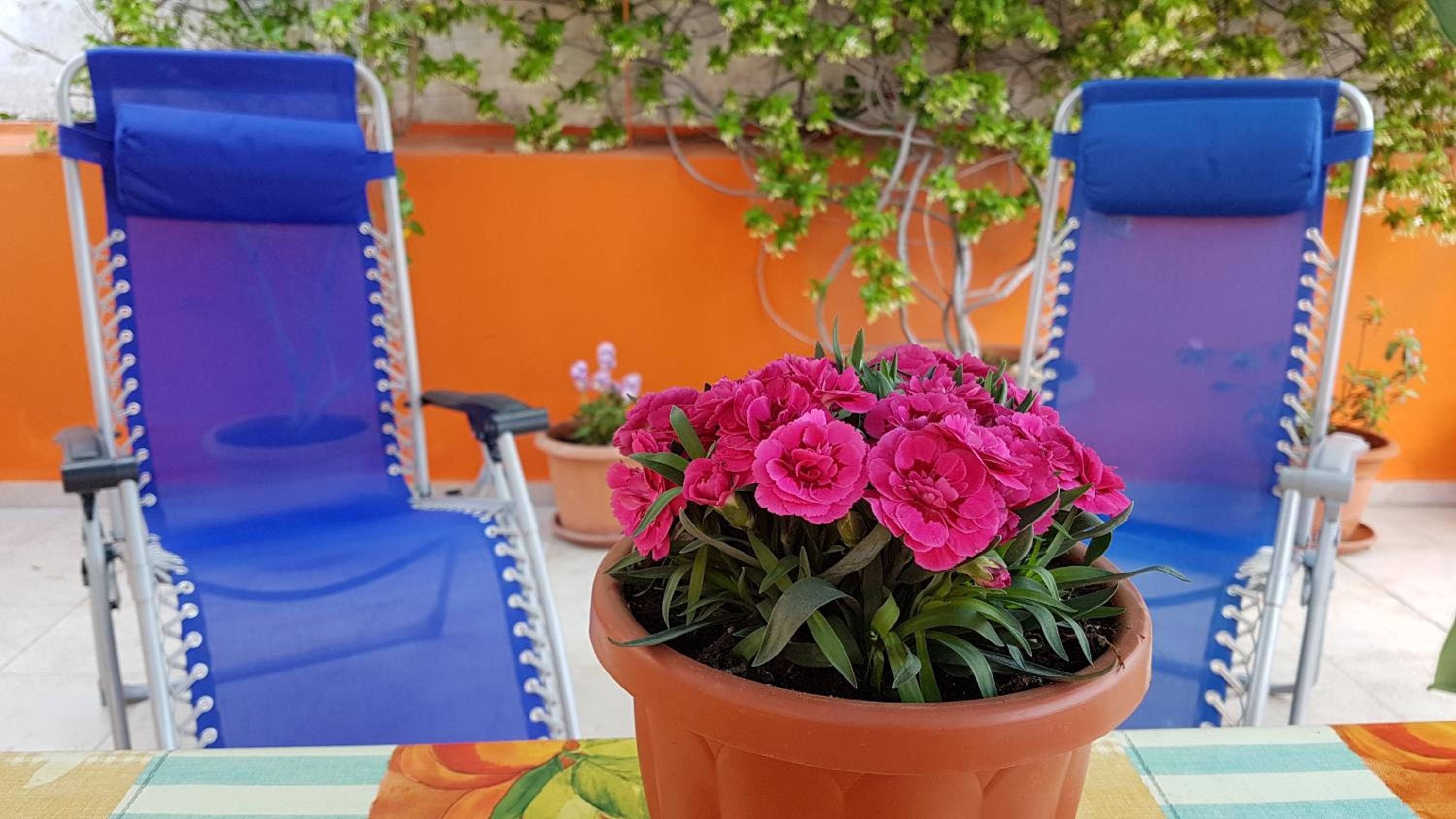 Casa Celeste en Noto — balance & terrace