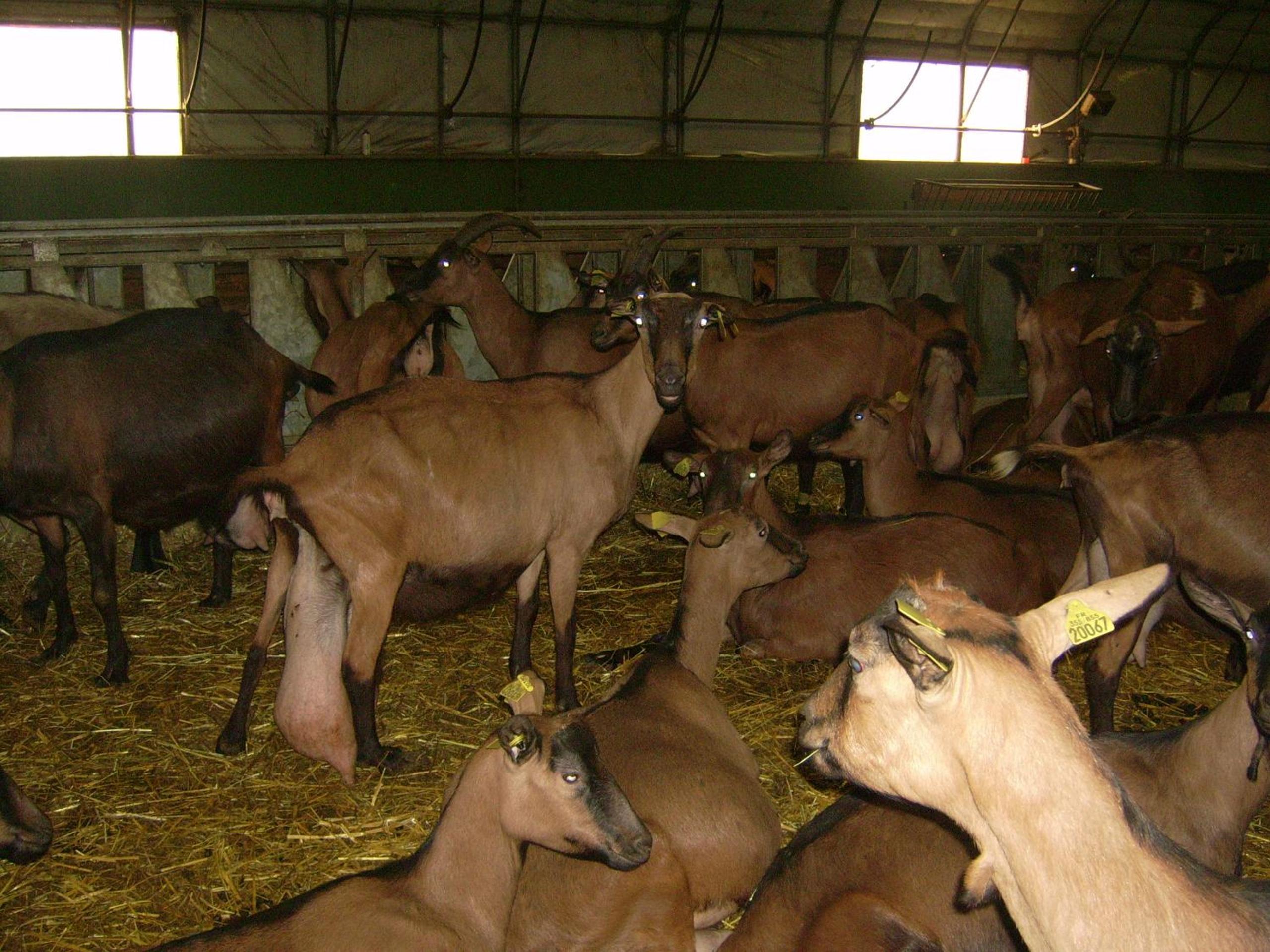 Studio nature a la ferme view 5