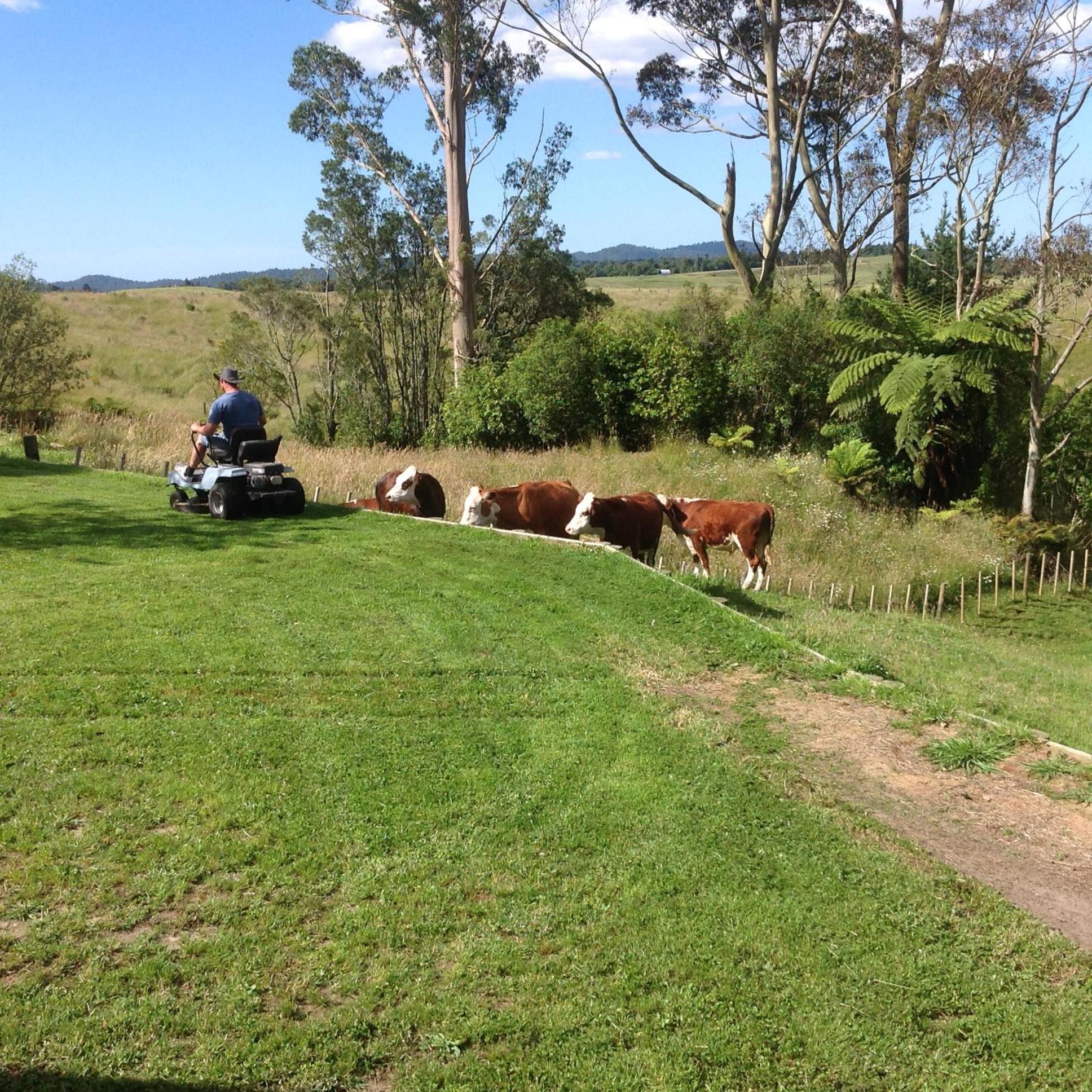 Rolling Hills Country Stay B&B