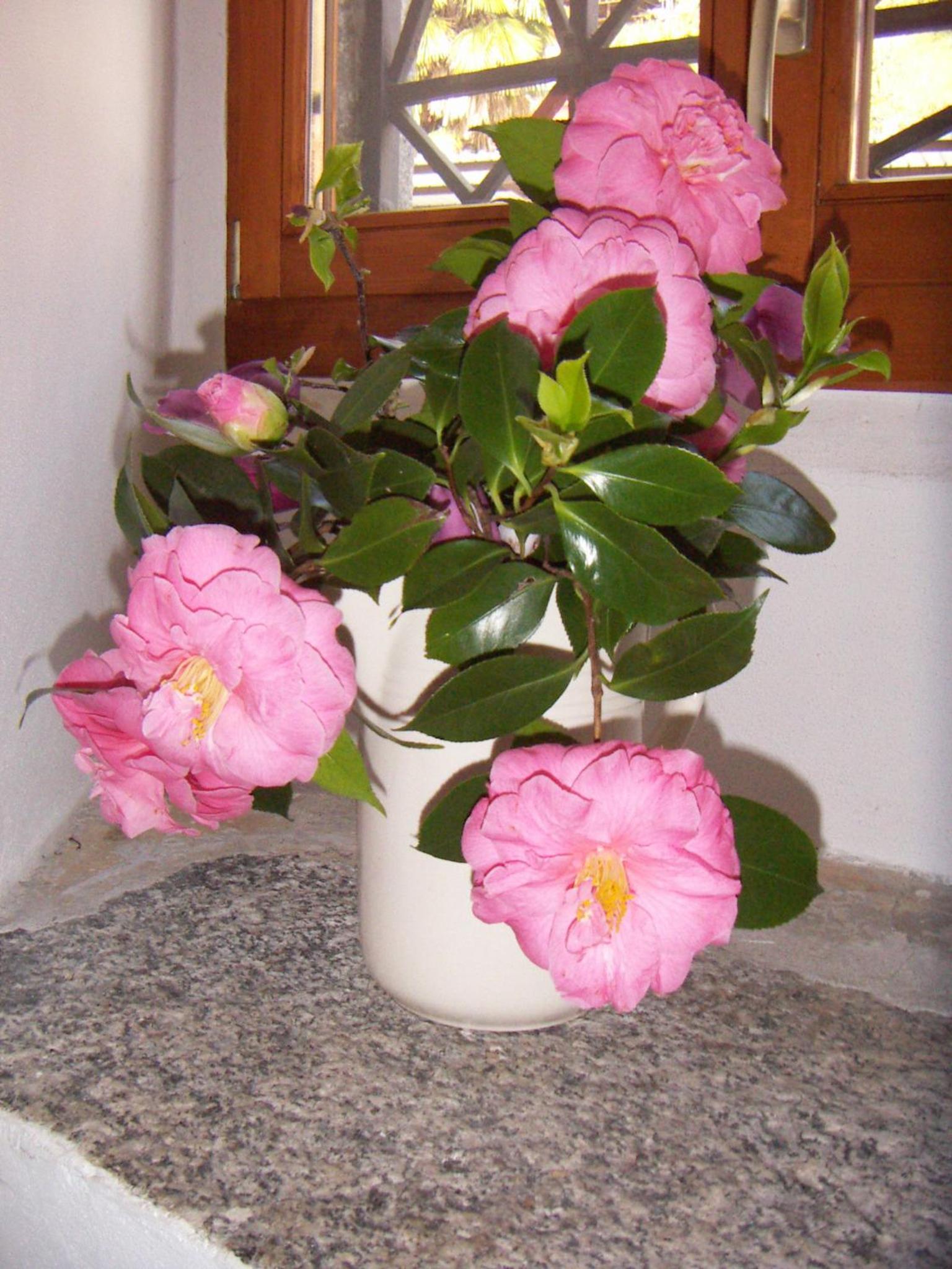 Casa Gialla B&B