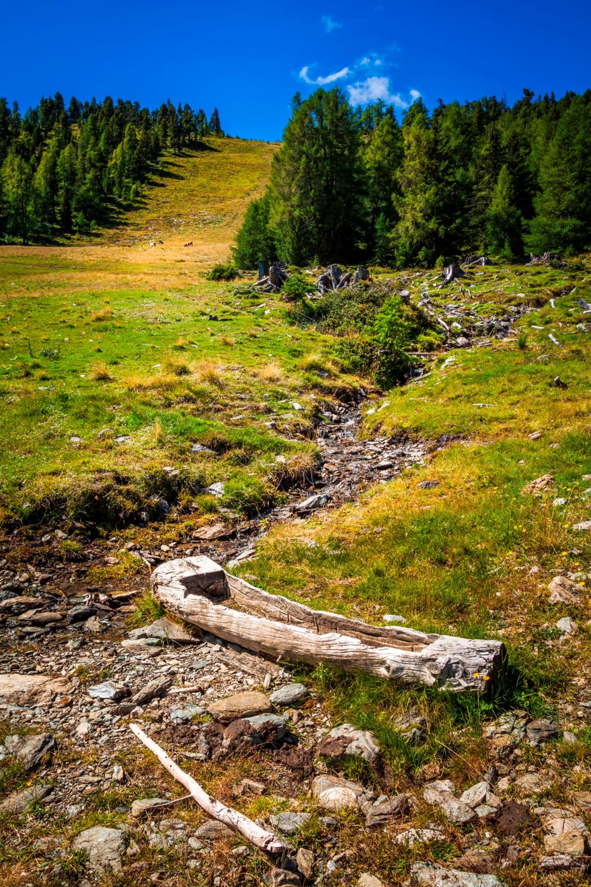 Ferienhütte Hoitahüttl