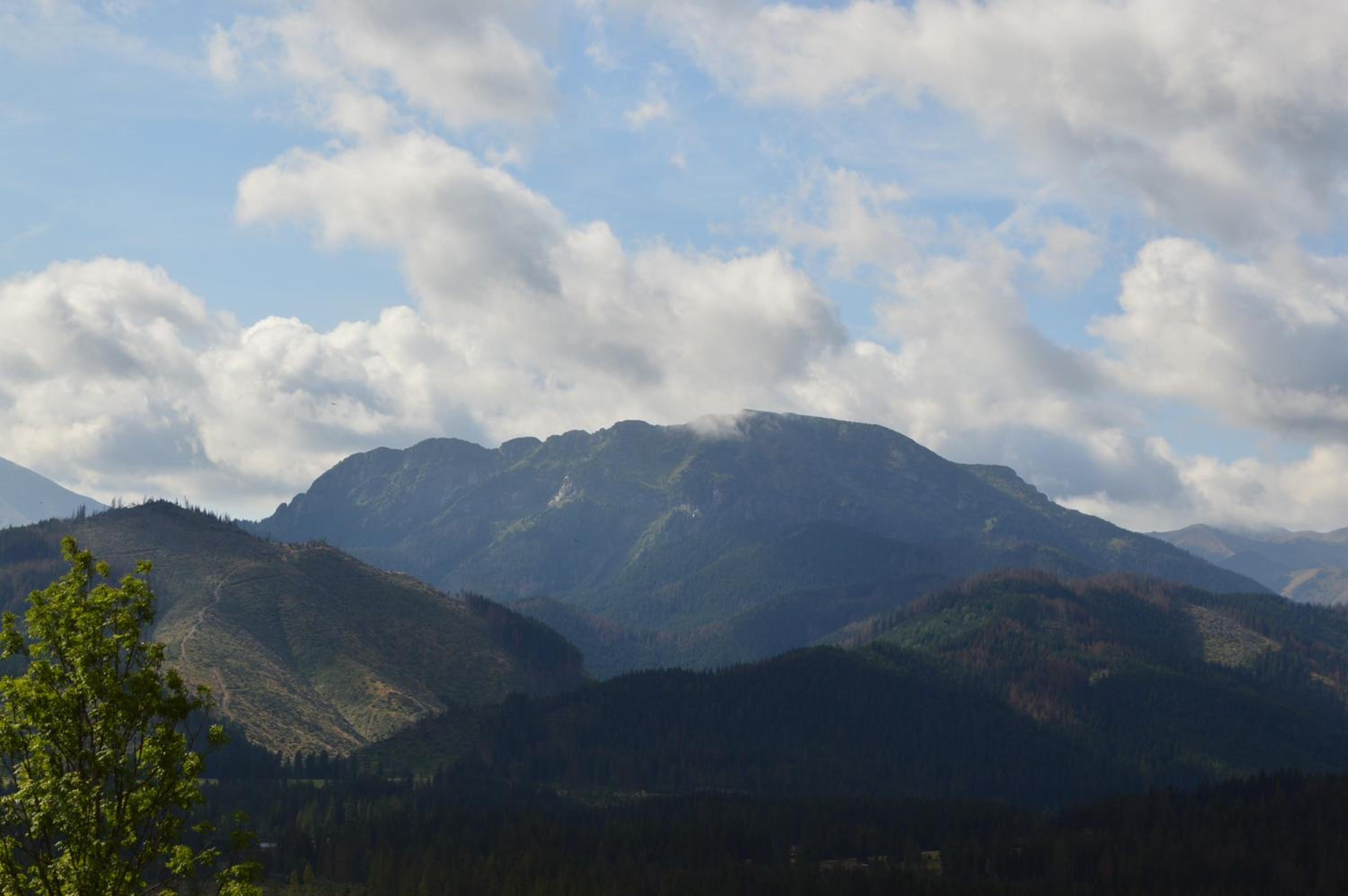 Photo 31