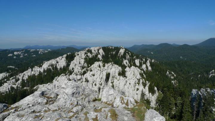 Photo 29