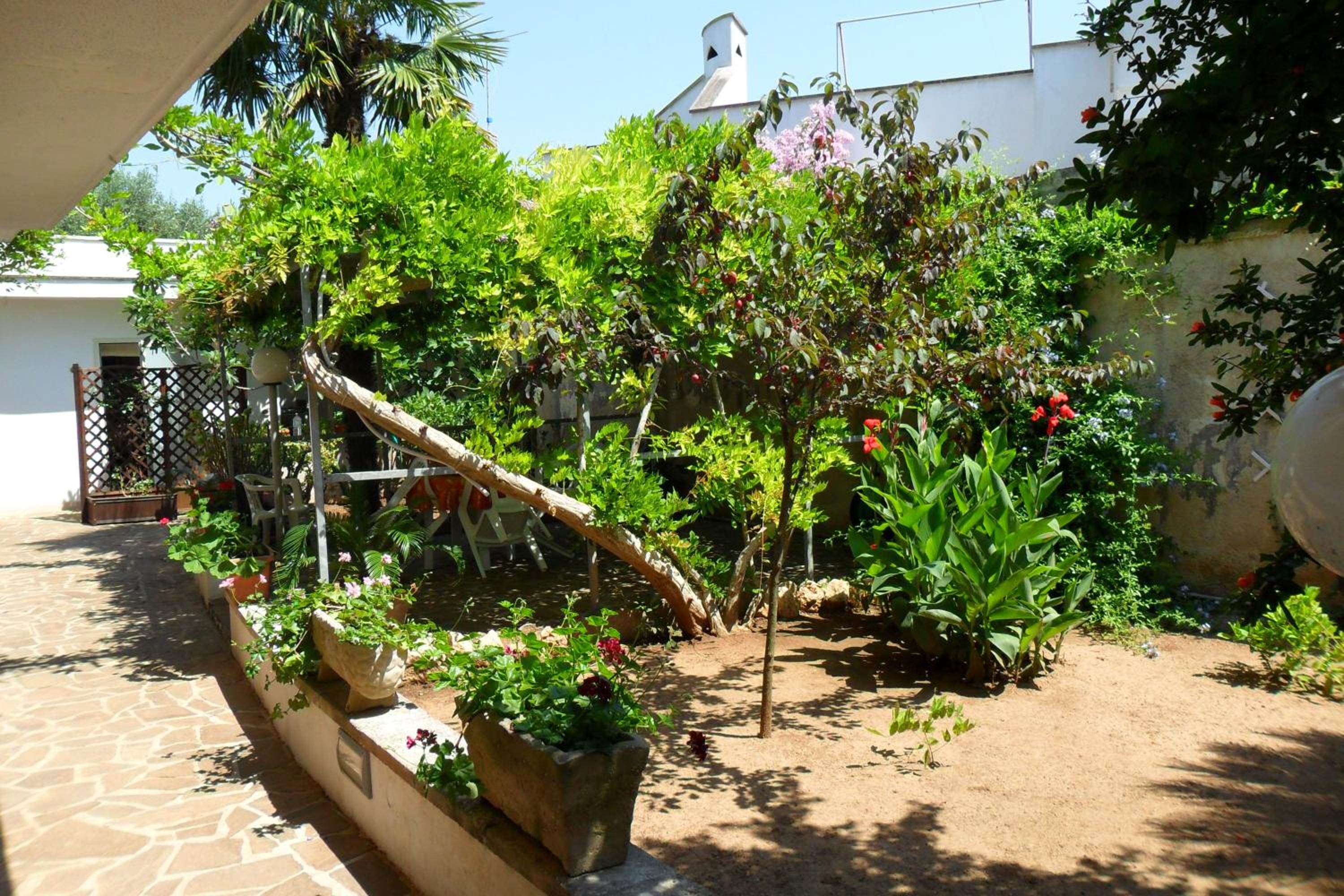 Bed&Breakfast L'Oasi