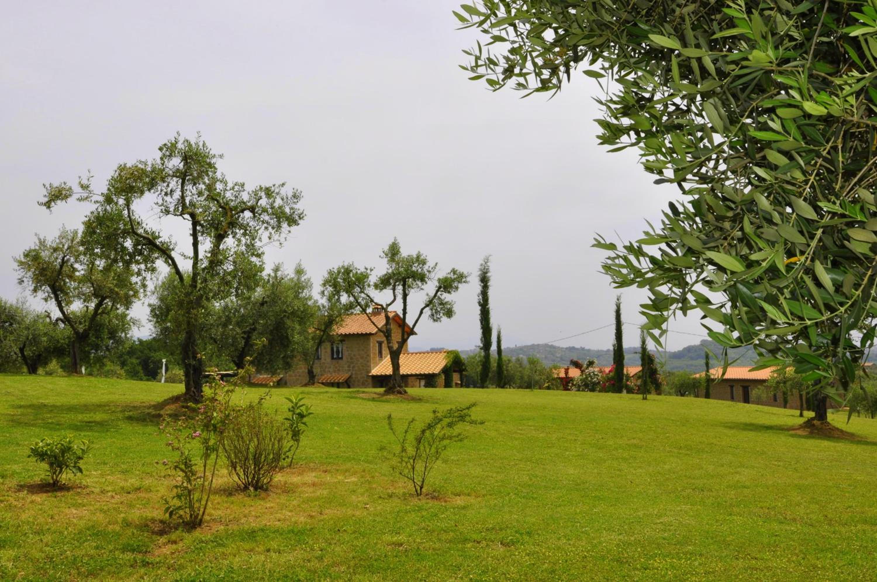 Photo 29
