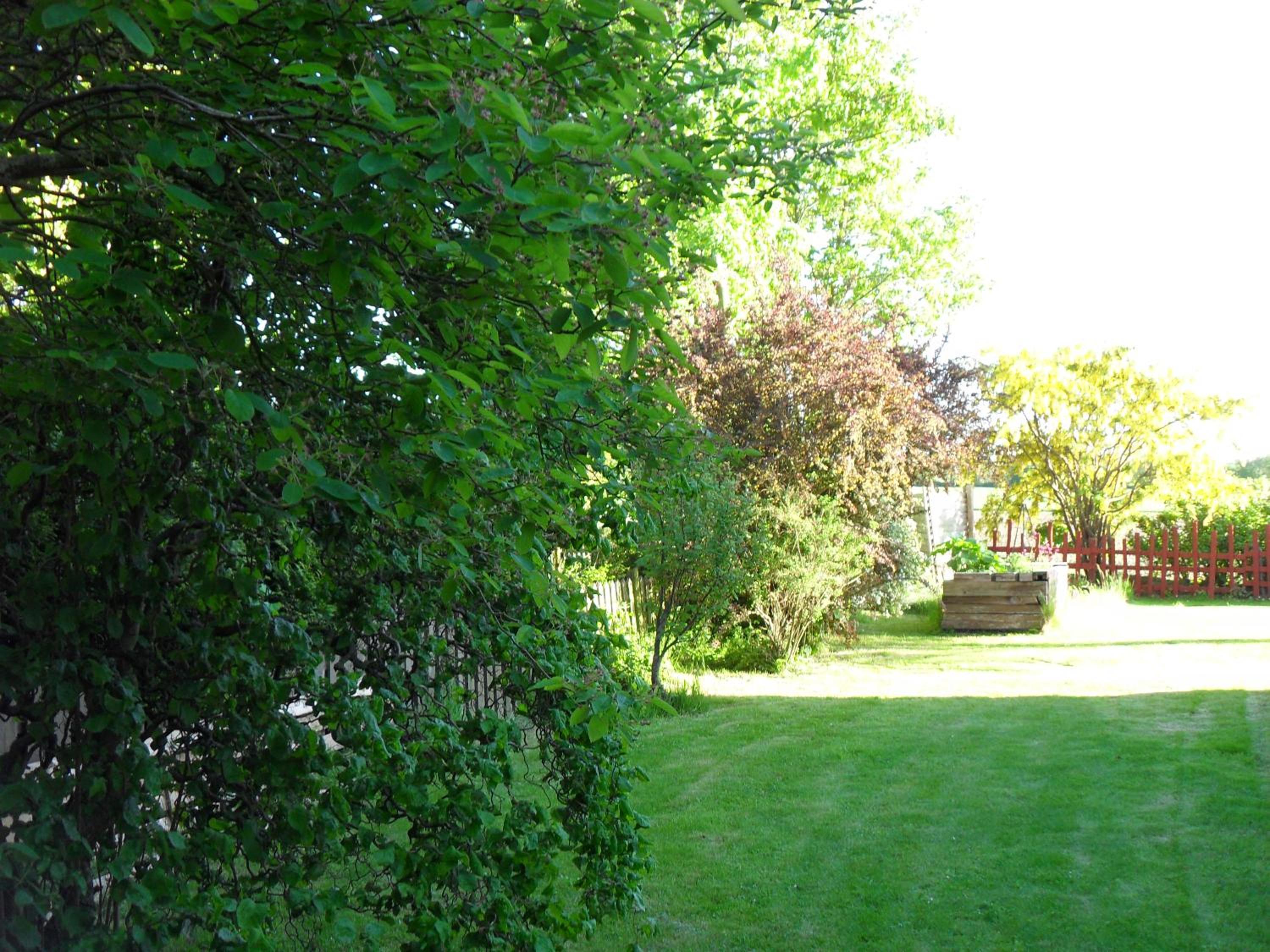 other
