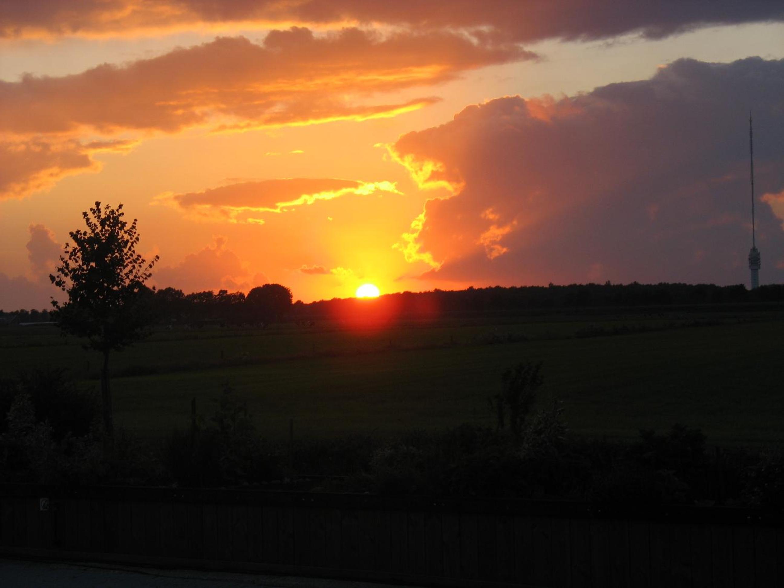 Photo 36