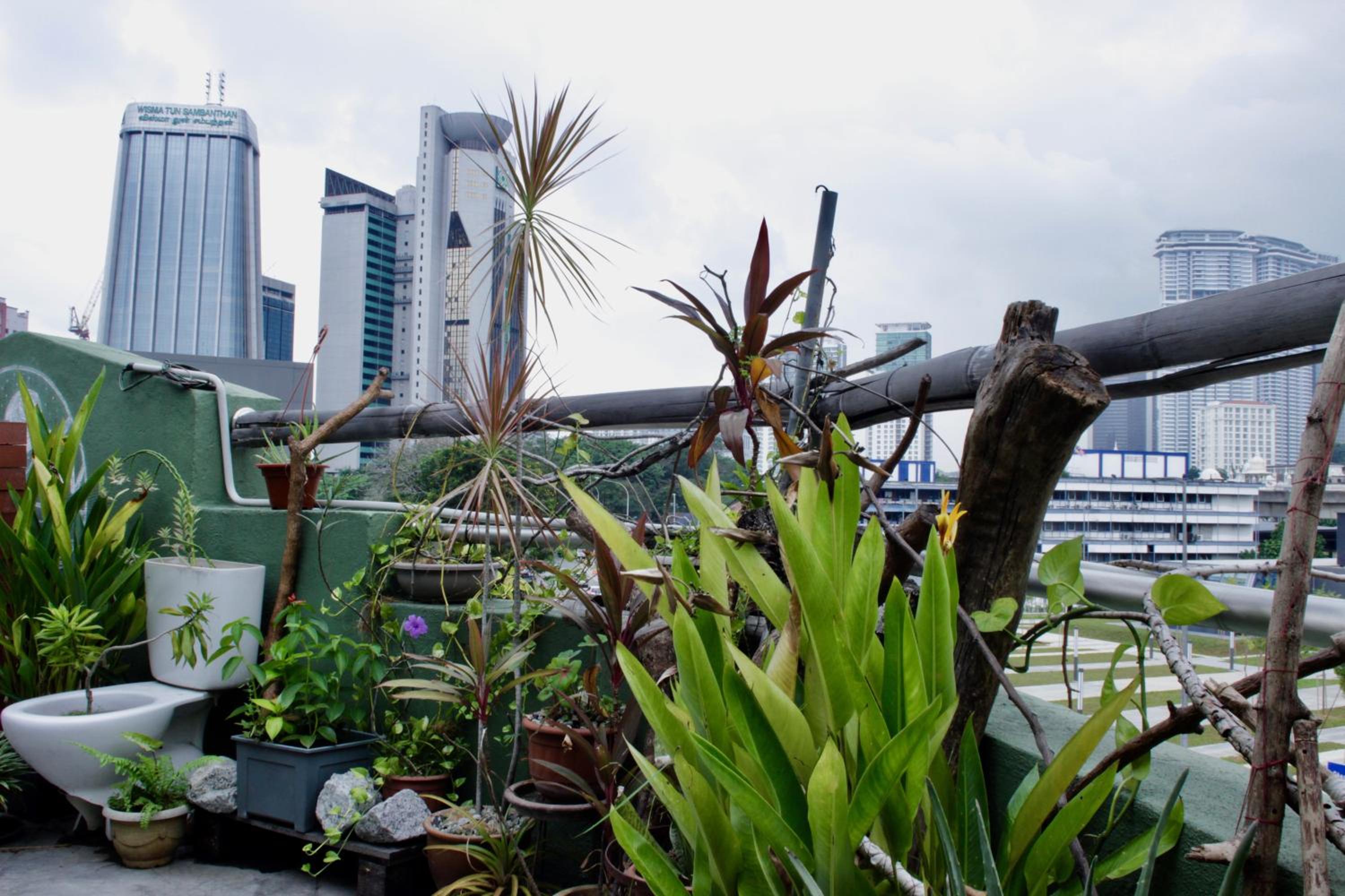 Birdnest Guesthouse, Gaia Rooftop Cafe