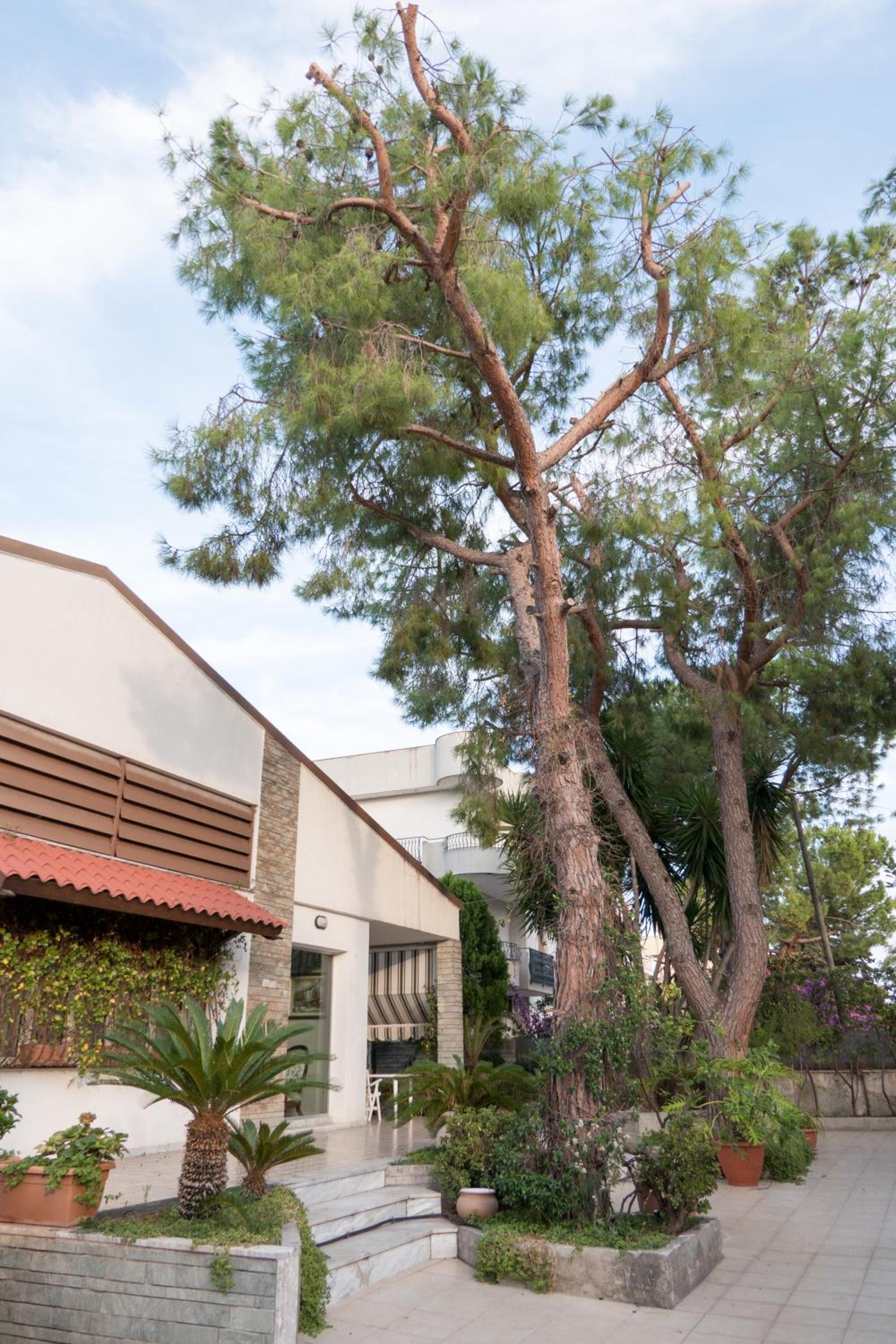 Yucca Camere & Suite