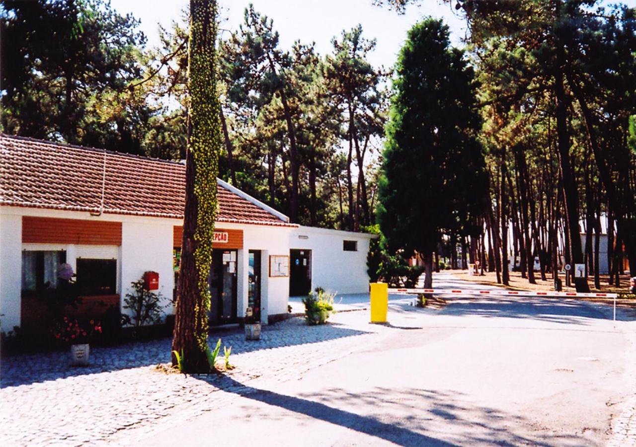 Parque de Campismo Orbitur Sao Jacinto view 3