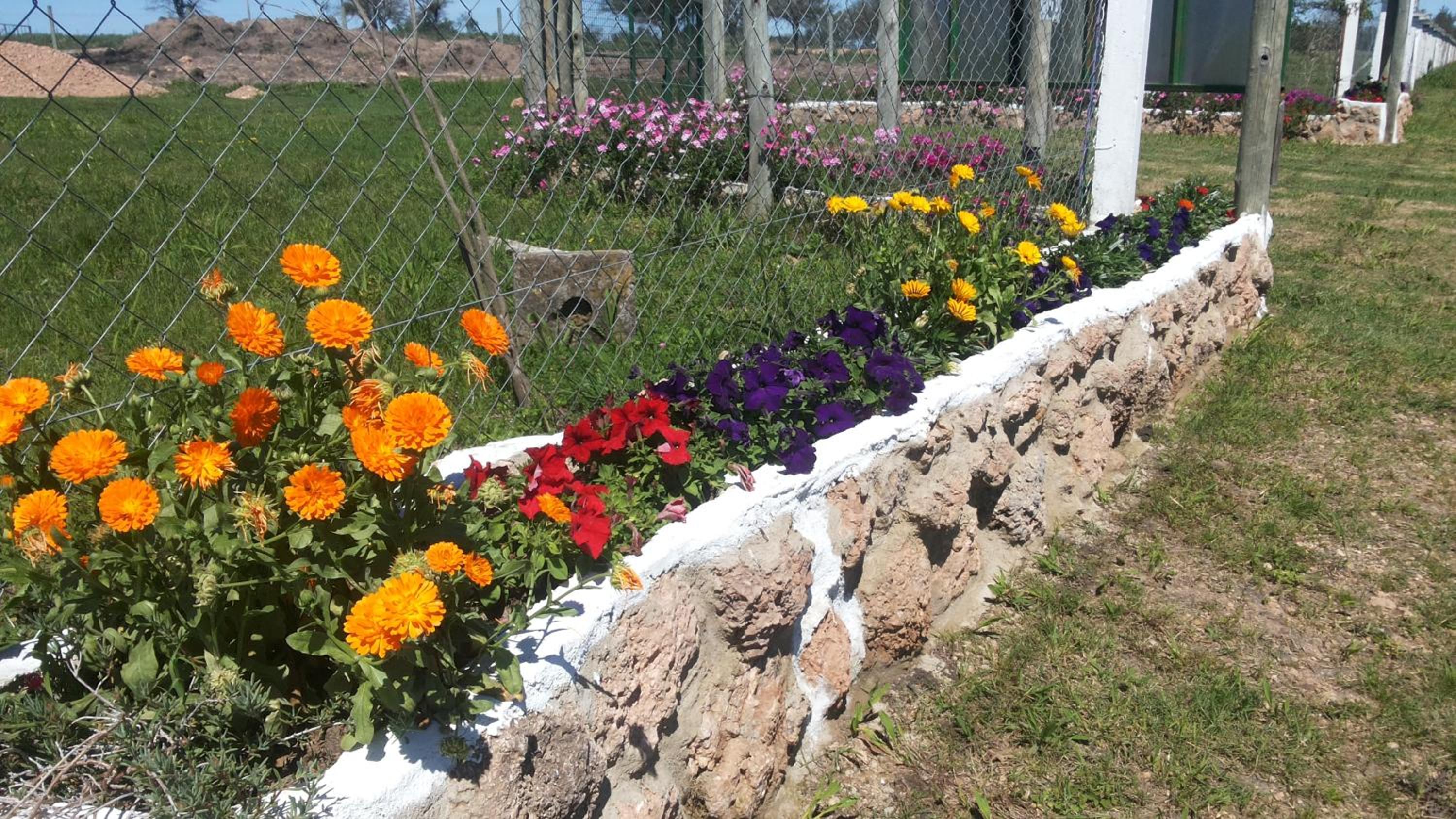 Cabañas Aires de Campos
