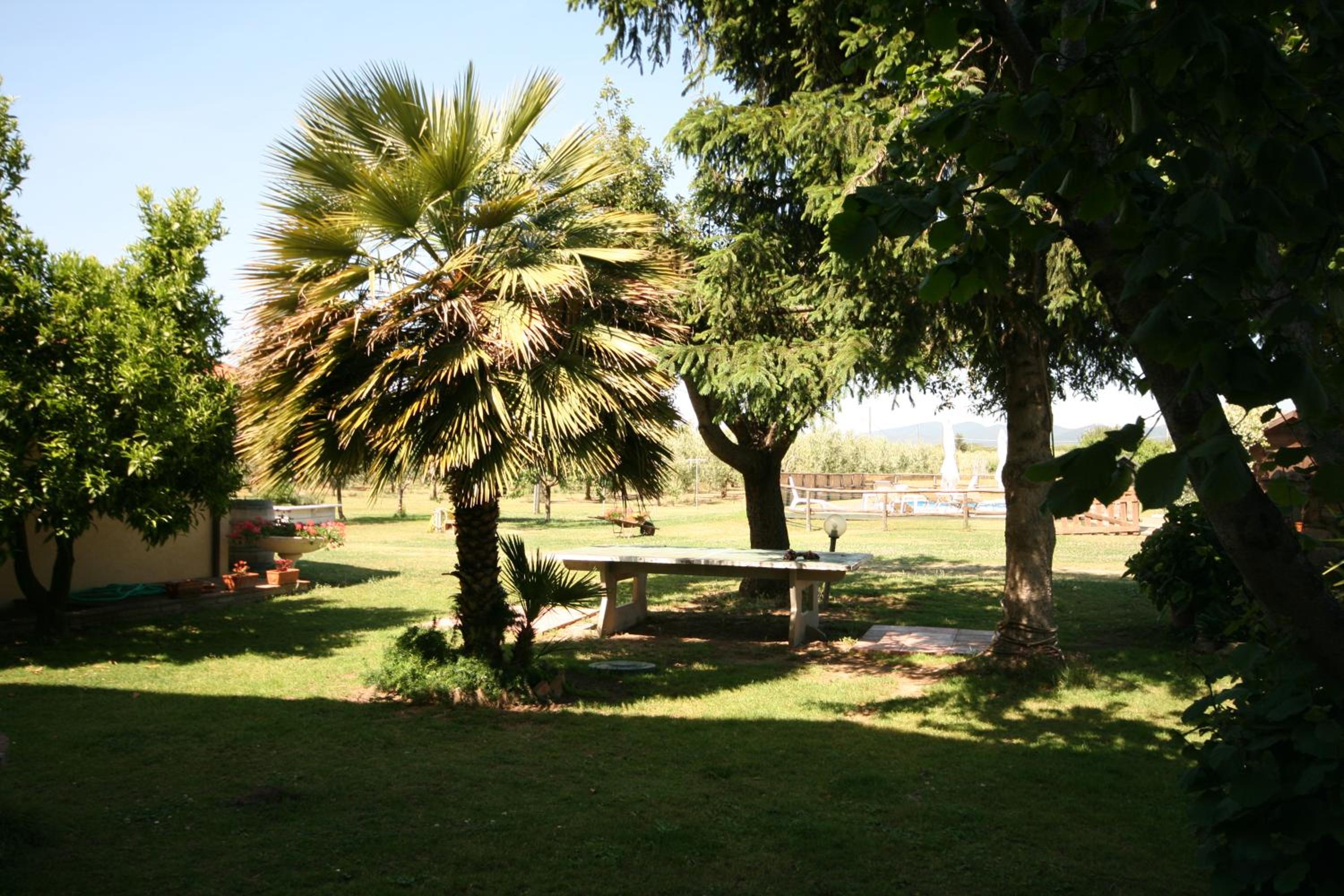 Photo 48