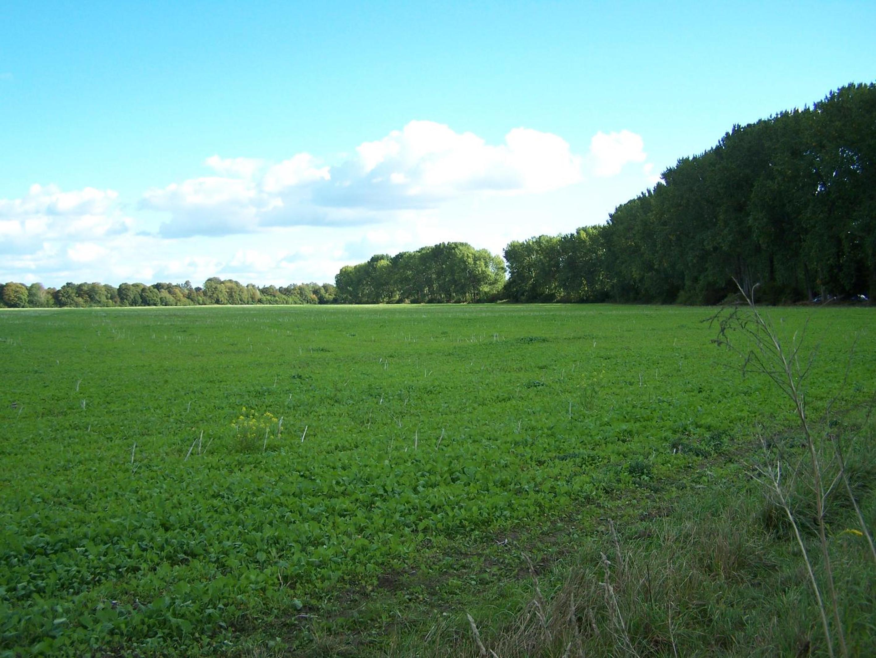 2-Zimmerwohnung