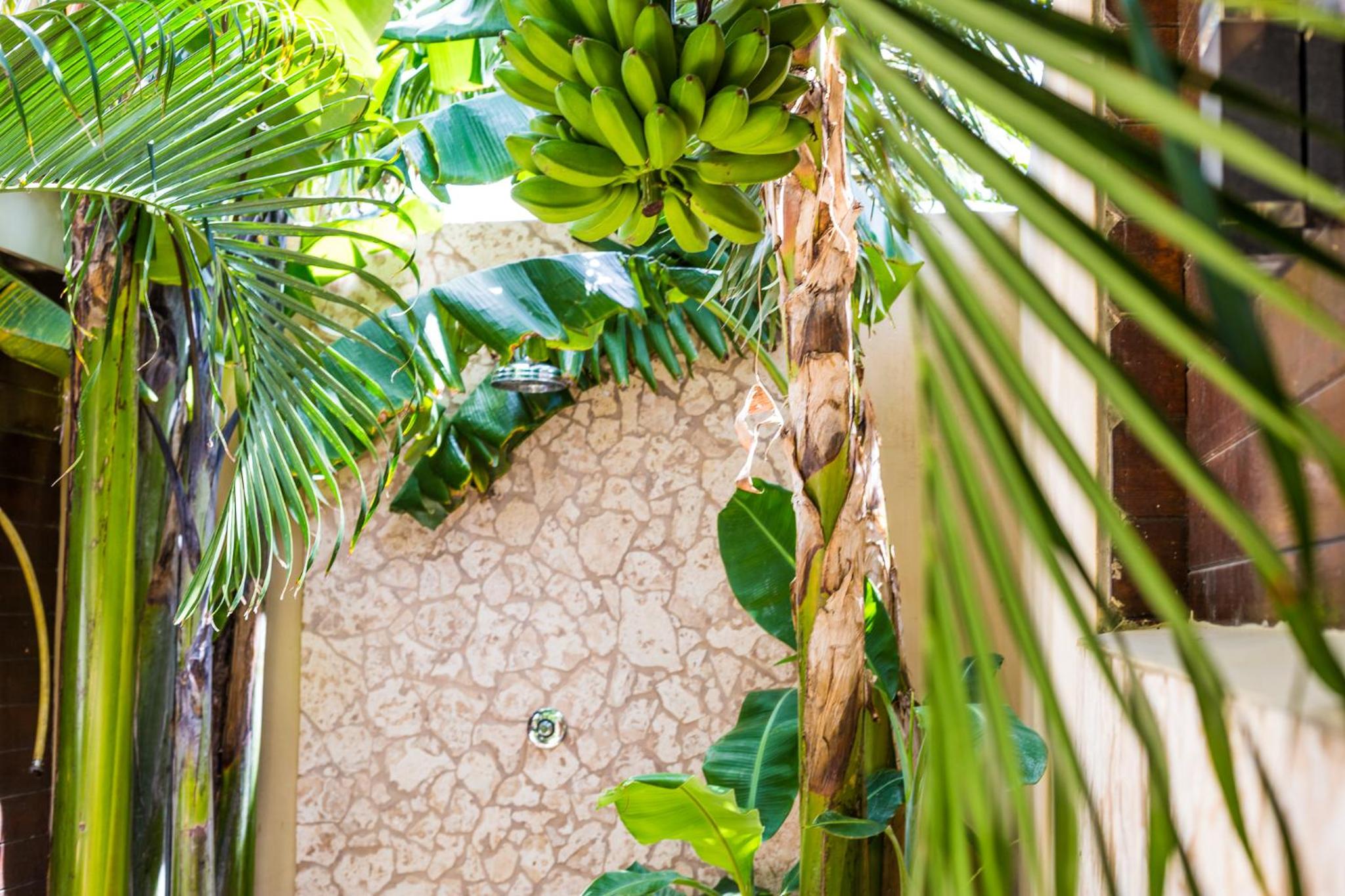 Bamboo Bonaire by Boutique Bonaire Unique Resorts