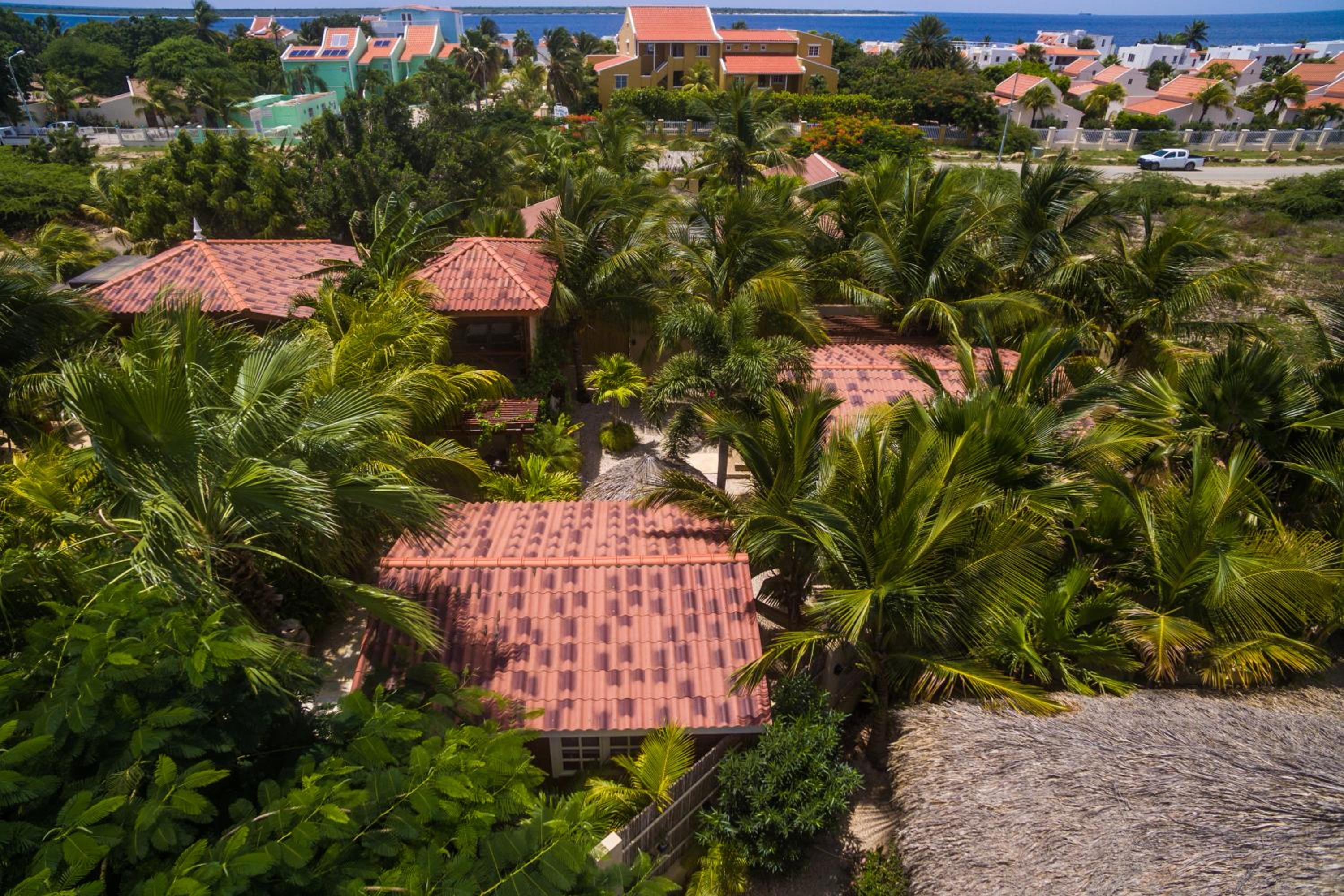 Bamboo Bonaire by Boutique Bonaire Unique Resorts