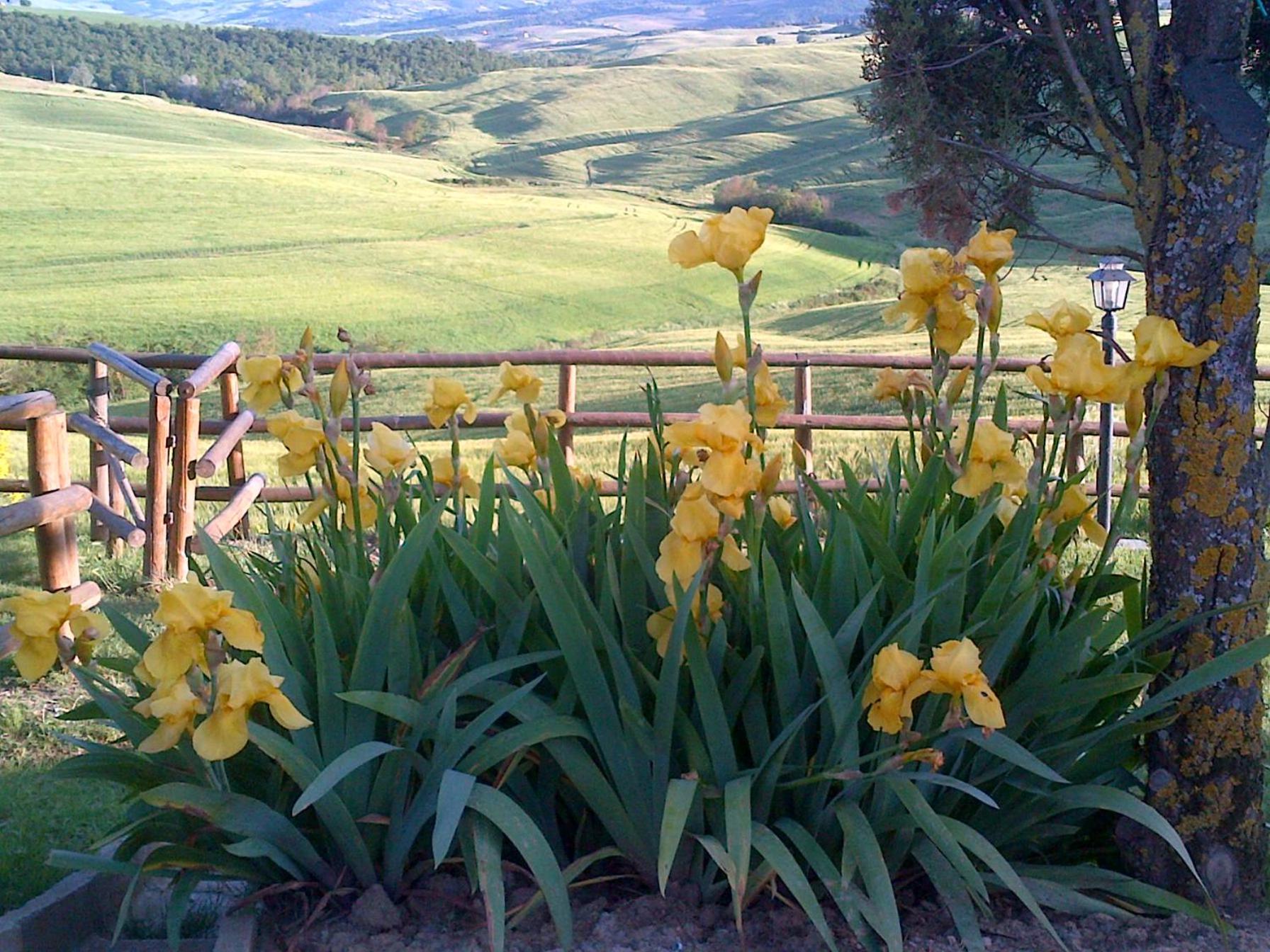 Agriturismo Bonello