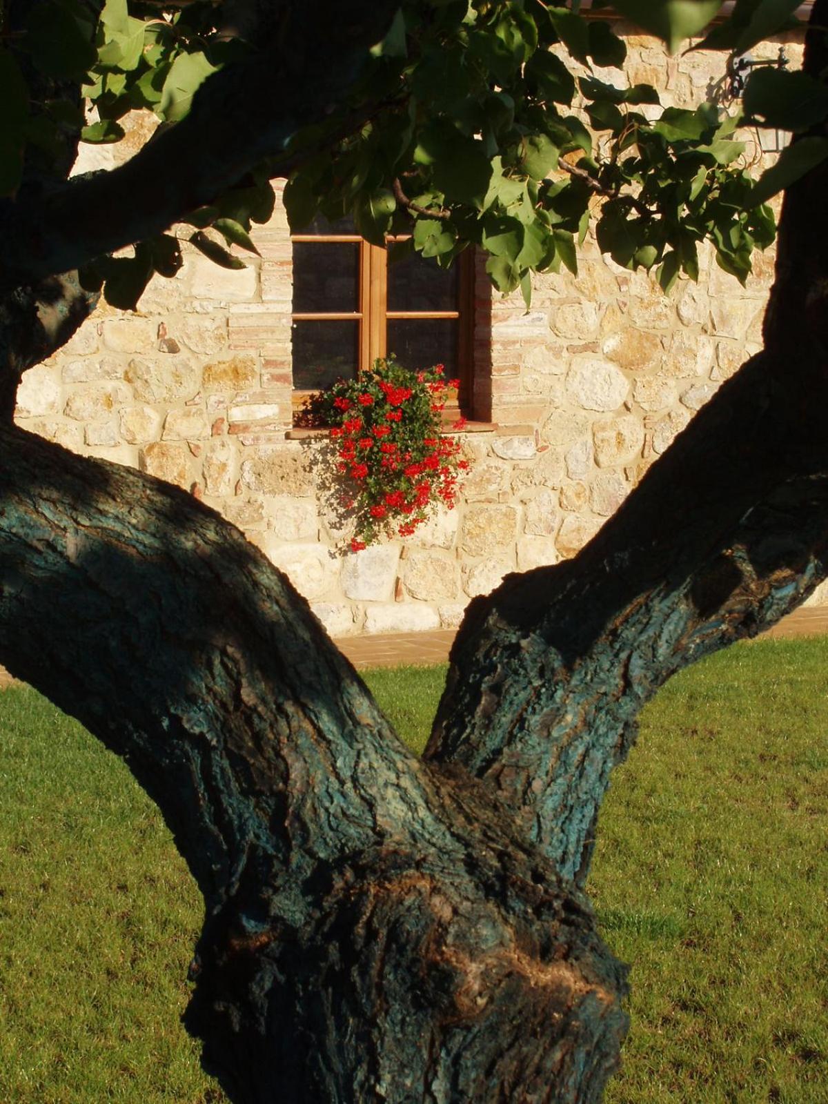 Agriturismo Bonello