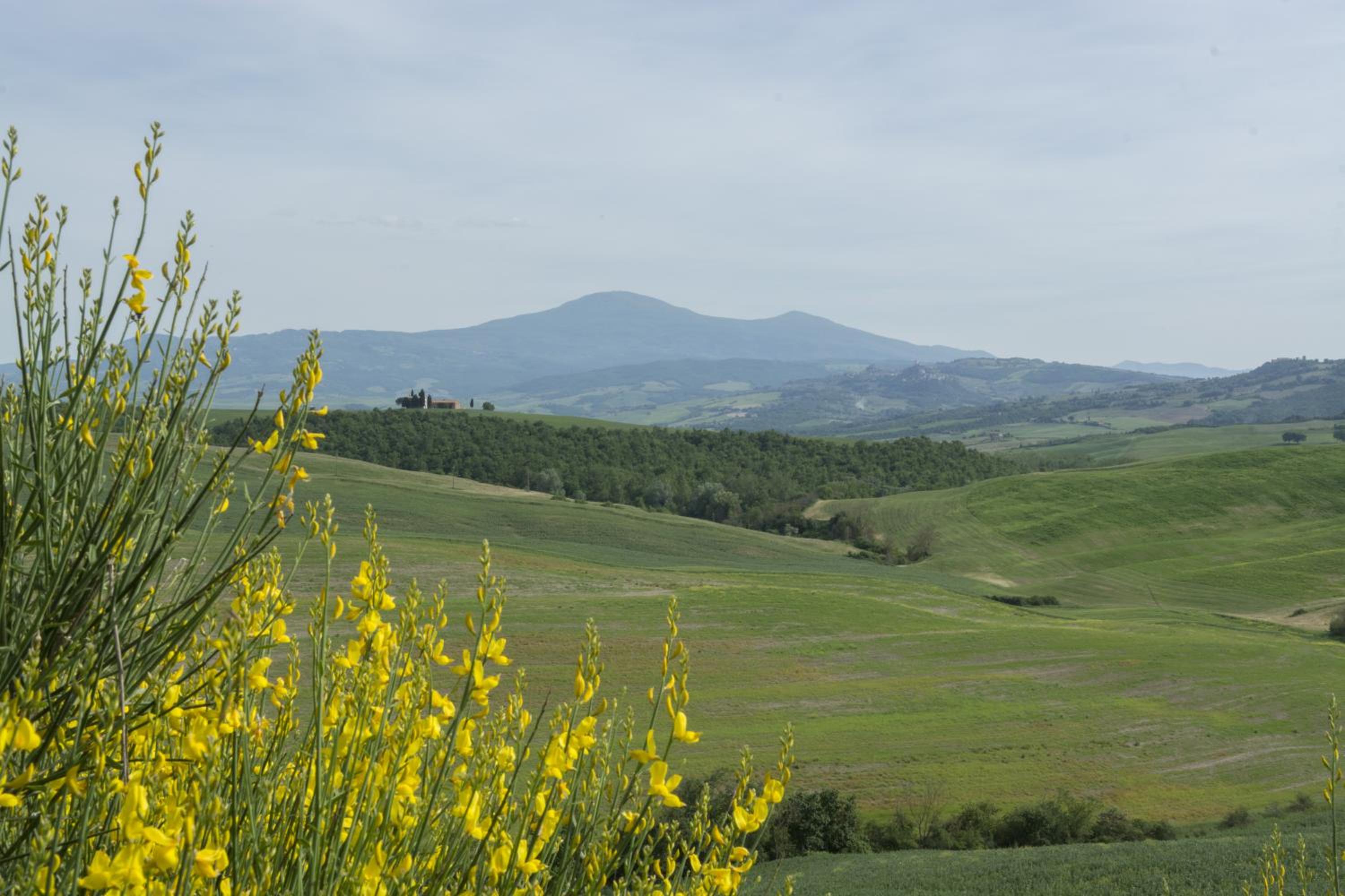 Agriturismo Bonello